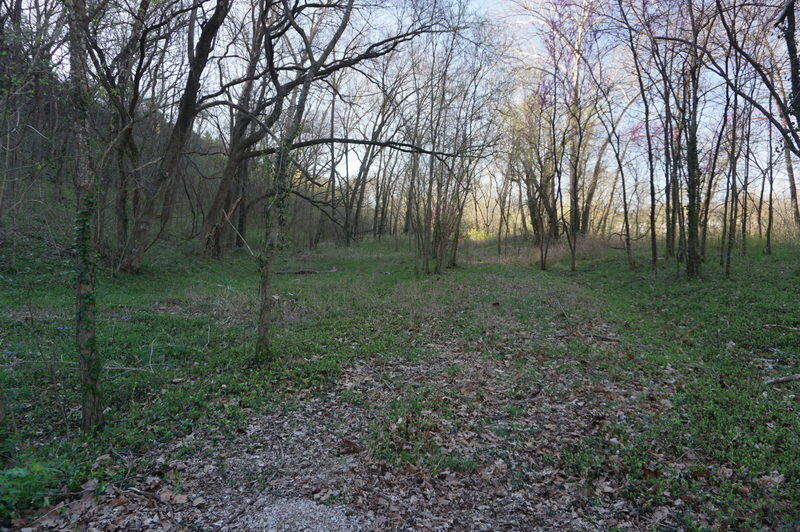 000 Iowa Colony Road Property Photo 4
