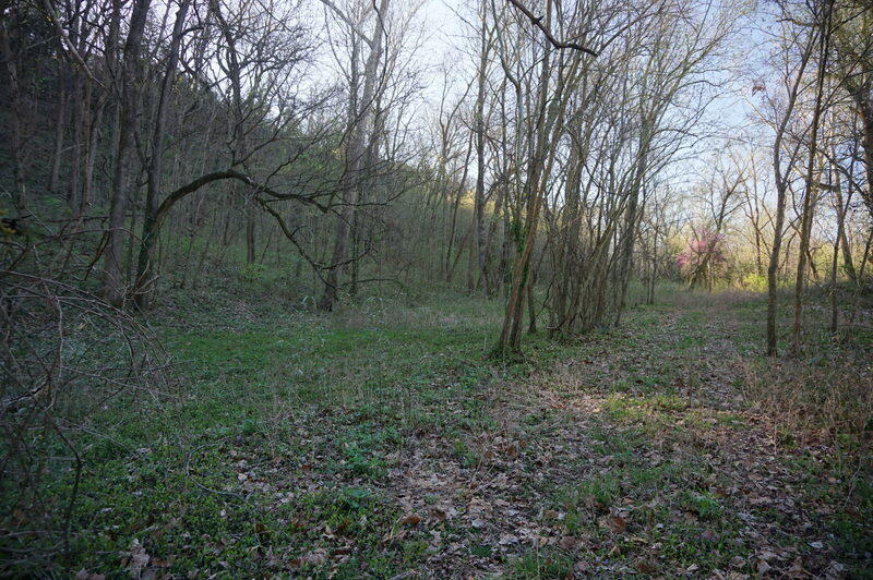 000 Iowa Colony Road Property Photo 5