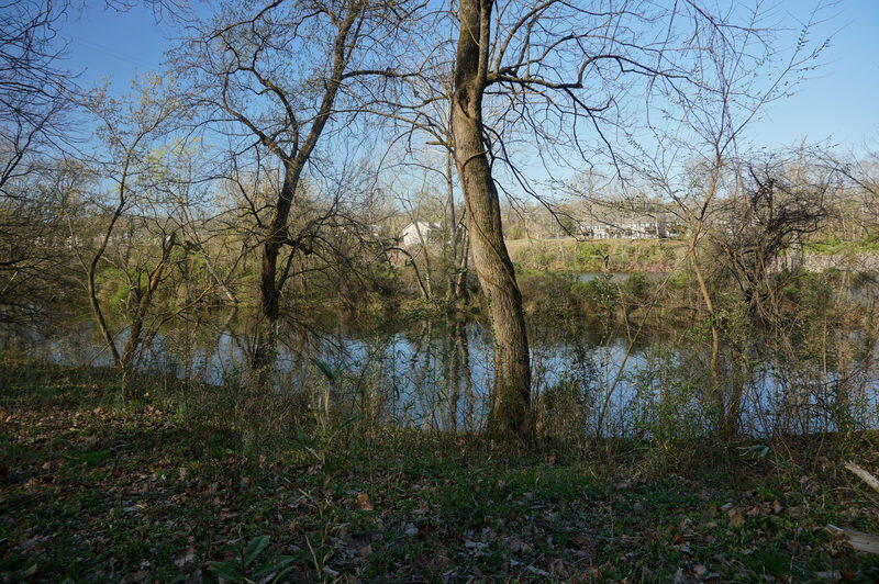 000 Iowa Colony Road Property Photo 6