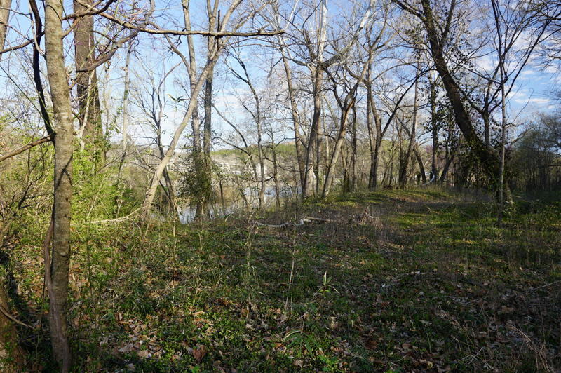 000 Iowa Colony Road Property Photo 11