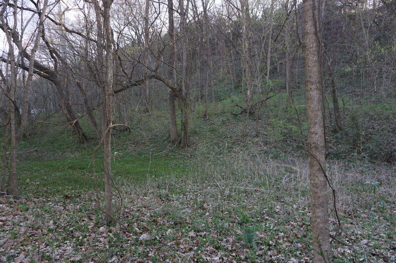 000 Iowa Colony Road Property Photo 13