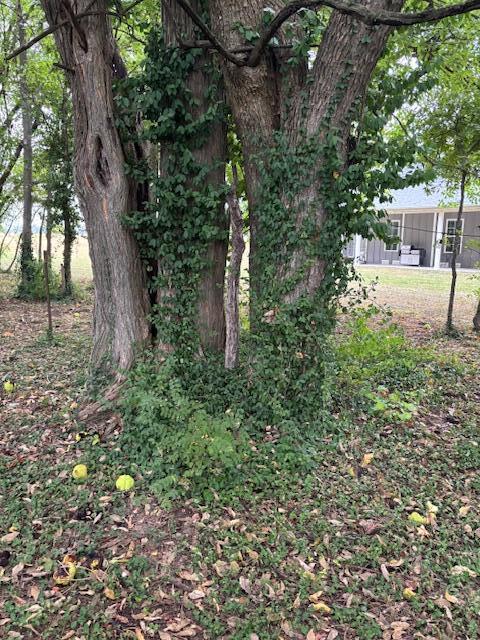 2291 South Farm Road 107 Property Photo 69