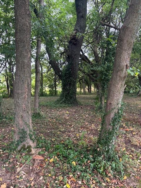 2291 South Farm Road 107 Property Photo 71