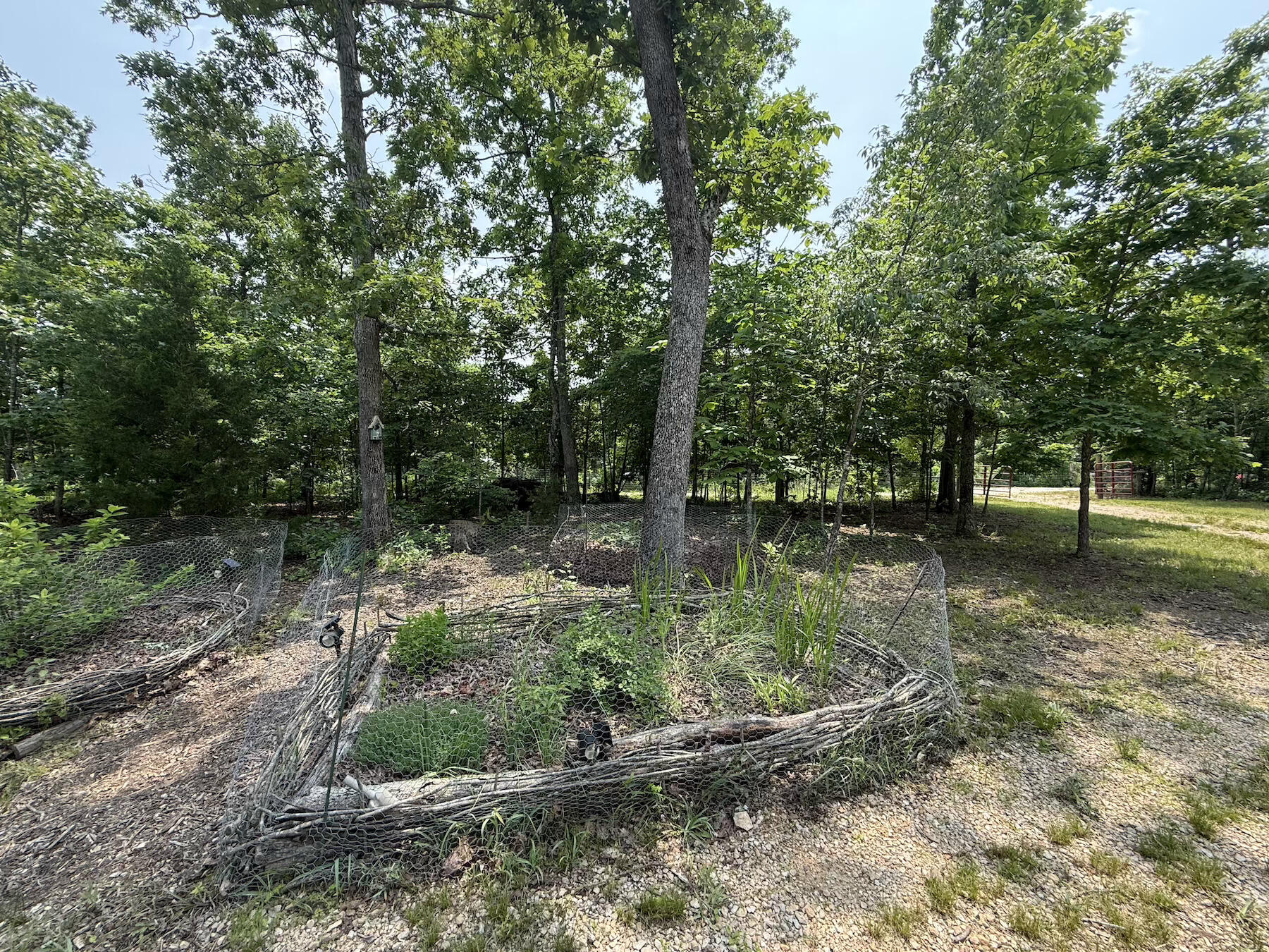 3267 Angeline Road Property Photo 17