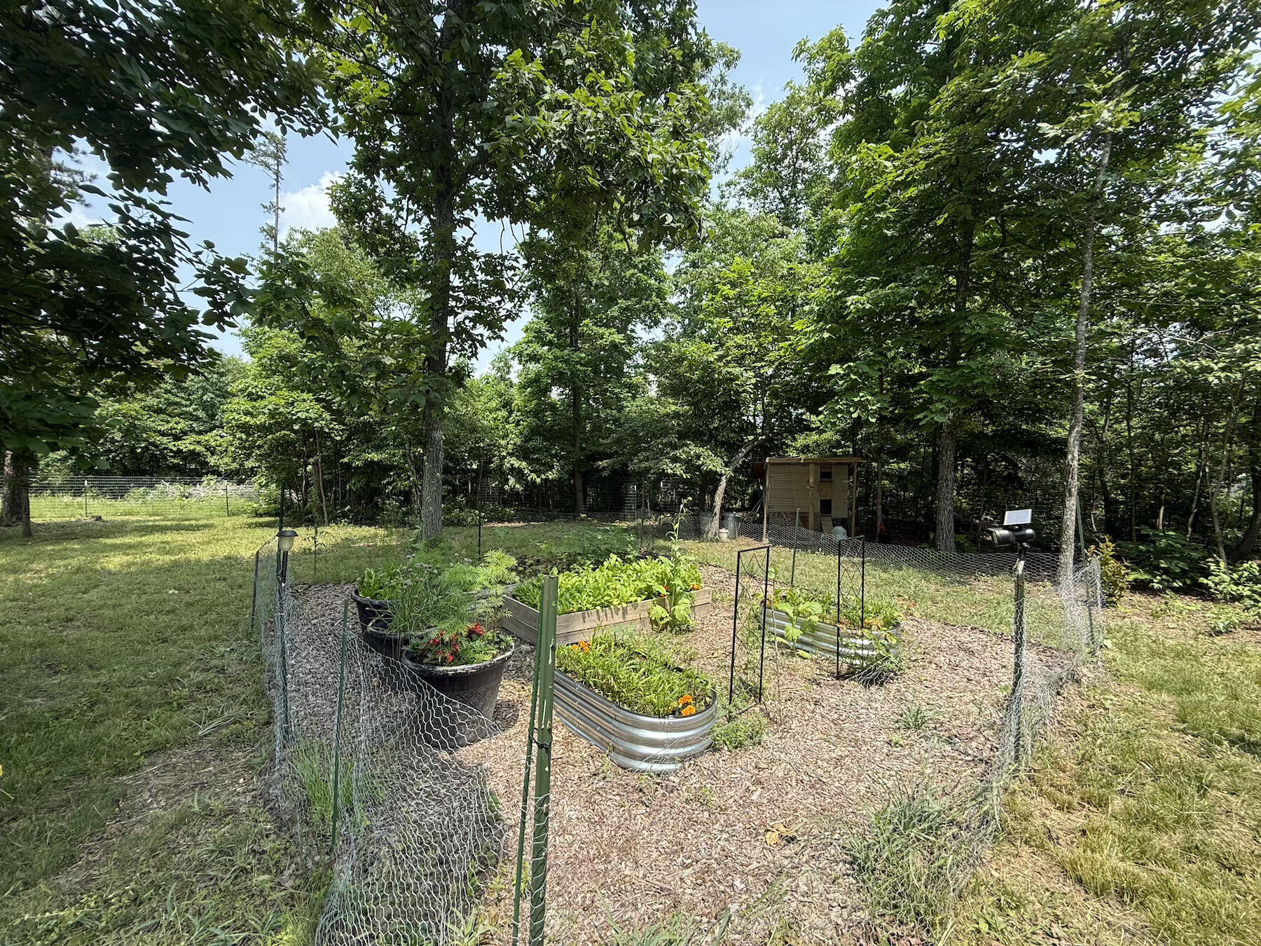 3267 Angeline Road Property Photo 20