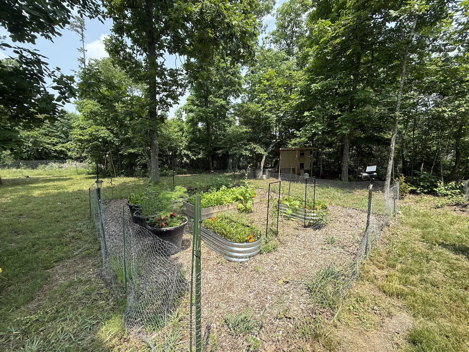 3267 Angeline Road Property Photo 21