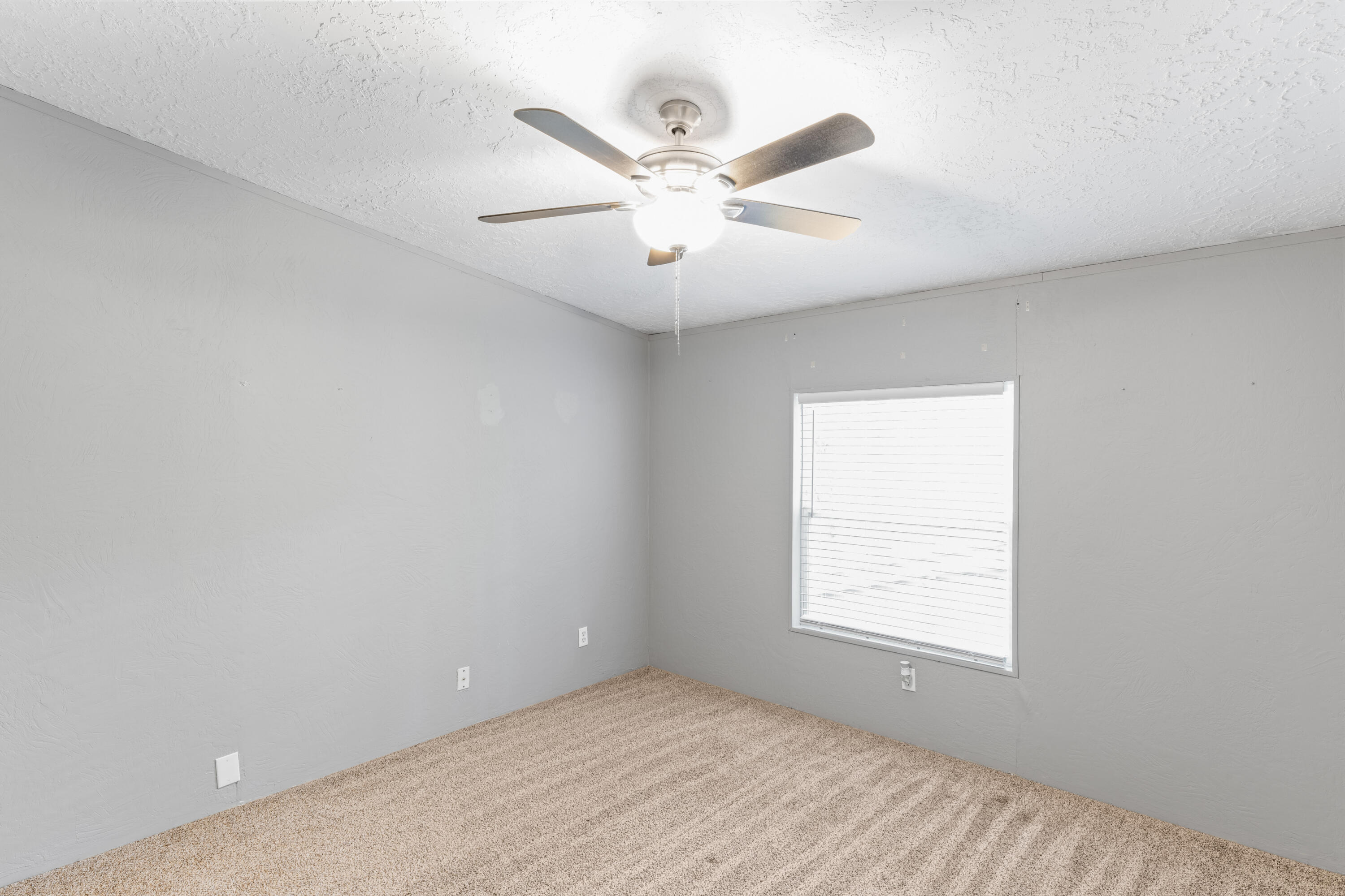 44 Bittersweet Circle Property Photo 14