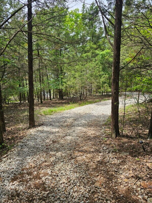 44 Bittersweet Circle Property Photo 42