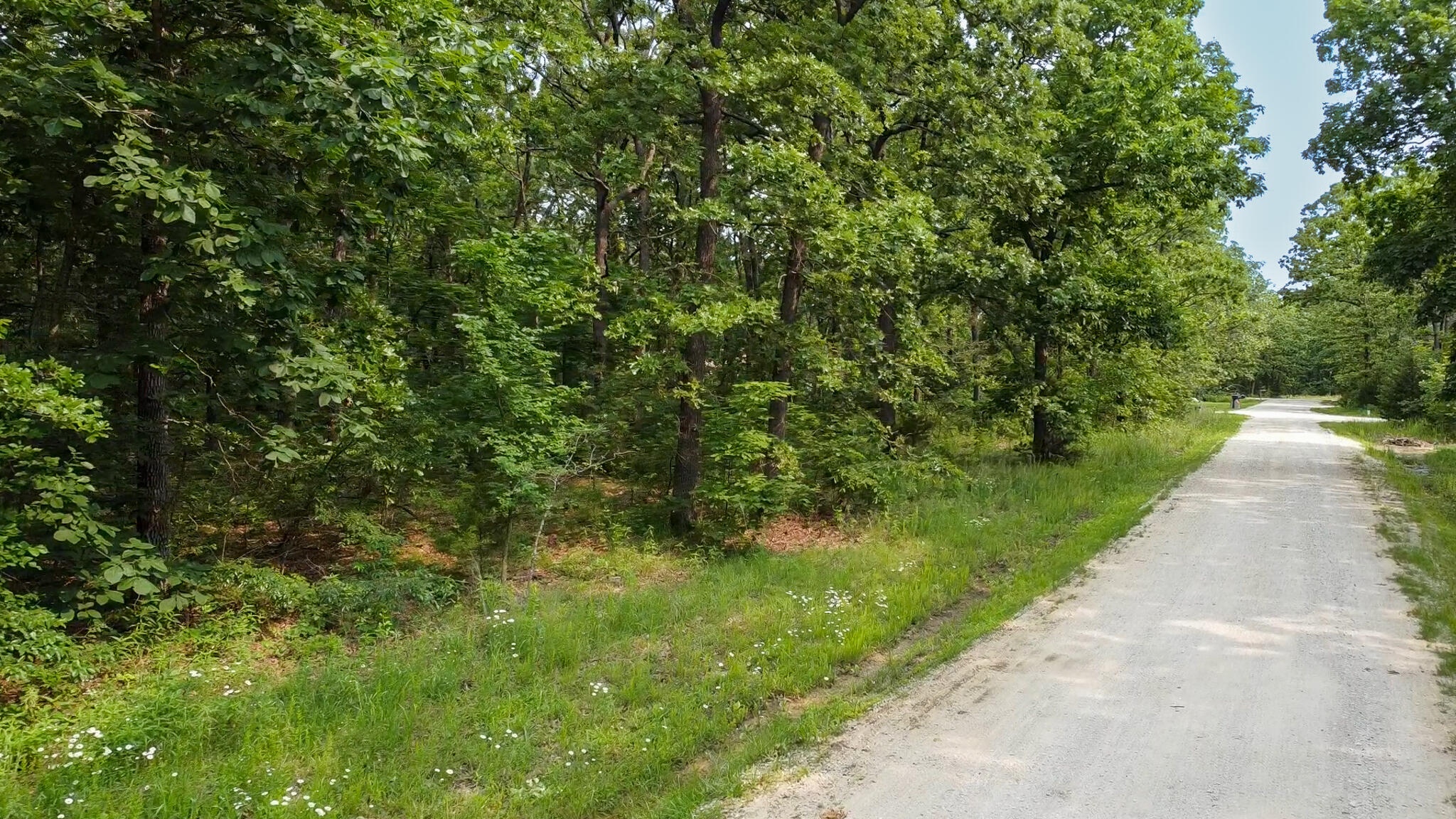 004 Gum Springs Drive Property Photo 5