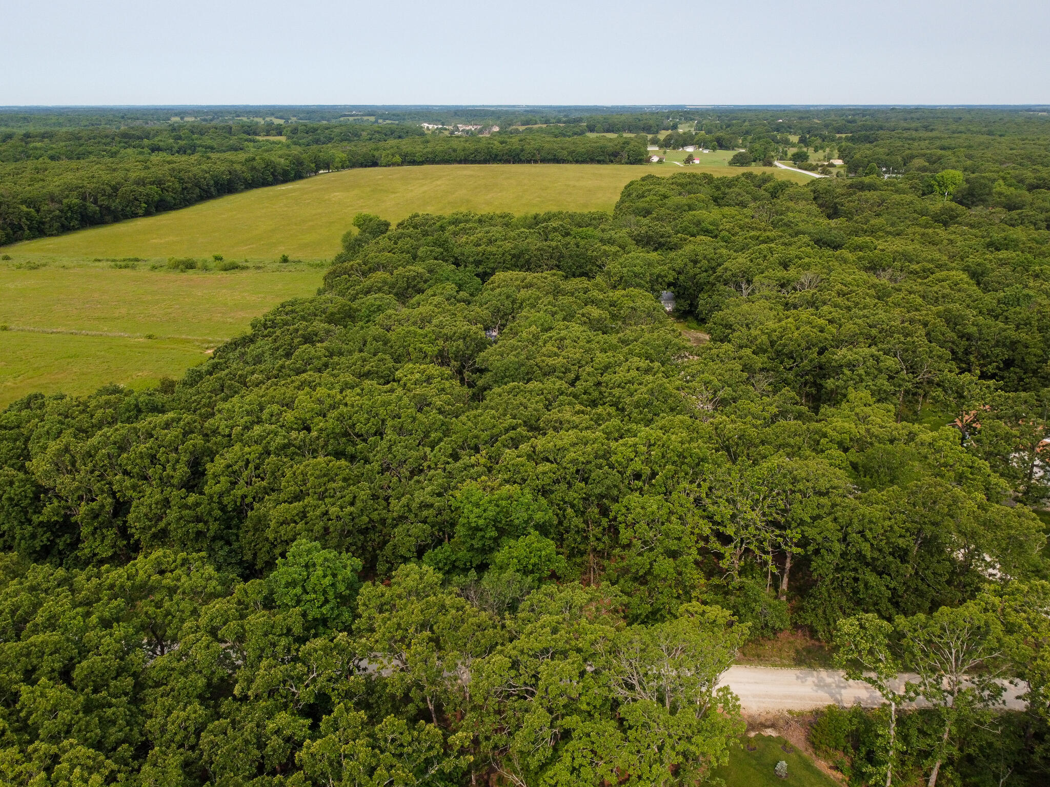 004 Gum Springs Drive Property Photo 8