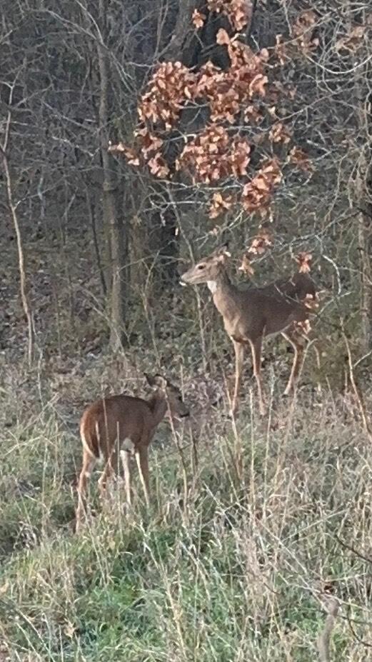 000 Lawrence 2130 Property Photo 4