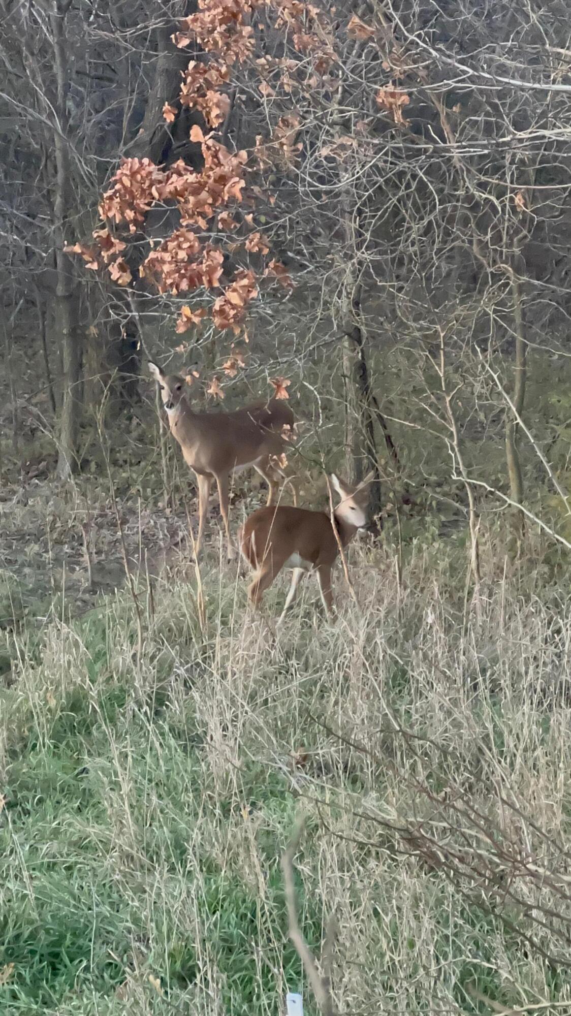 000 Lawrence 2130 Property Photo 5