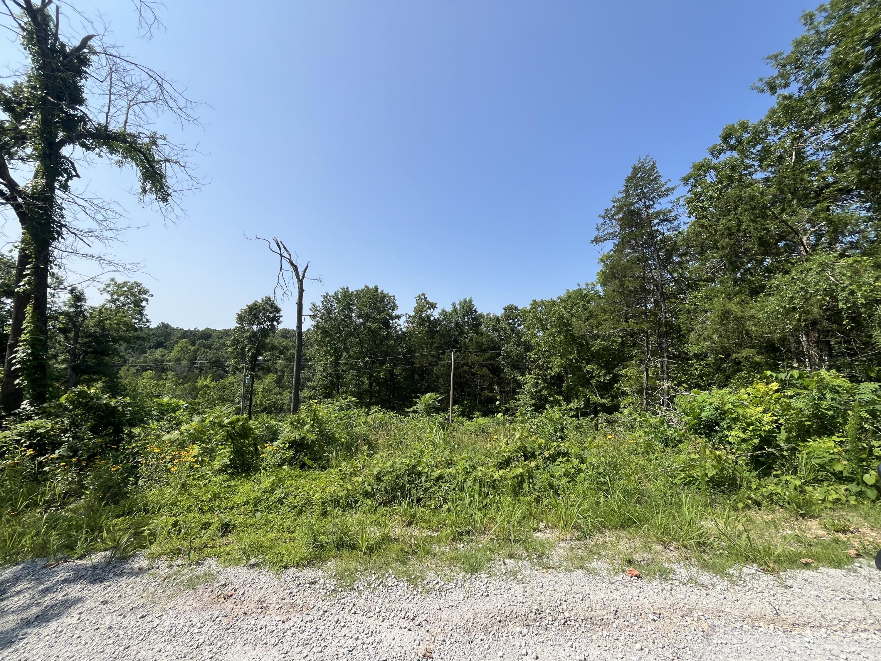 Lot 9 & 10 Button Wood Property Photo 1