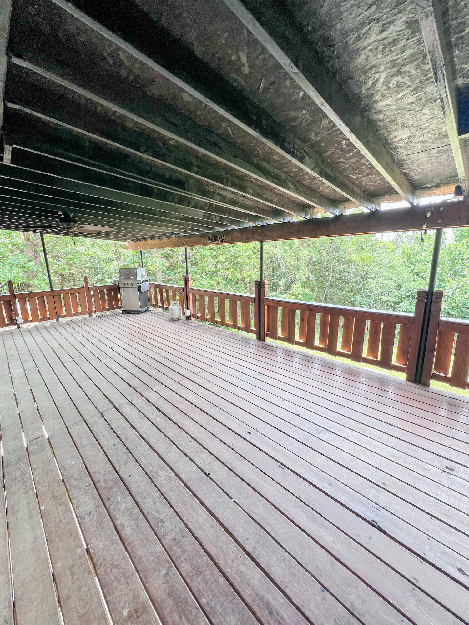 25314 County Road 245 Property Photo 30