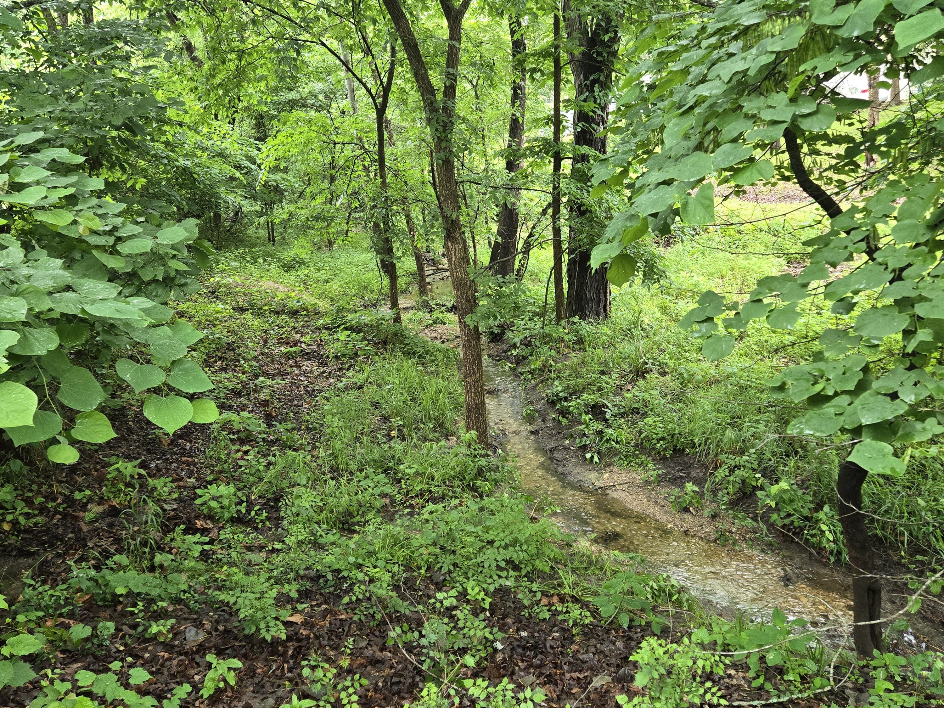 21811 Feather Road Property Photo 5