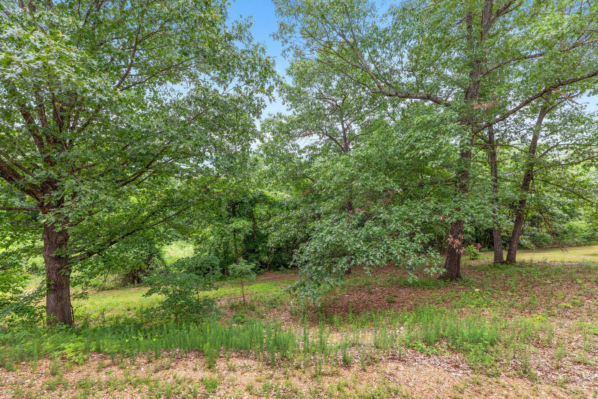 550 Notch Lane Property Photo 19