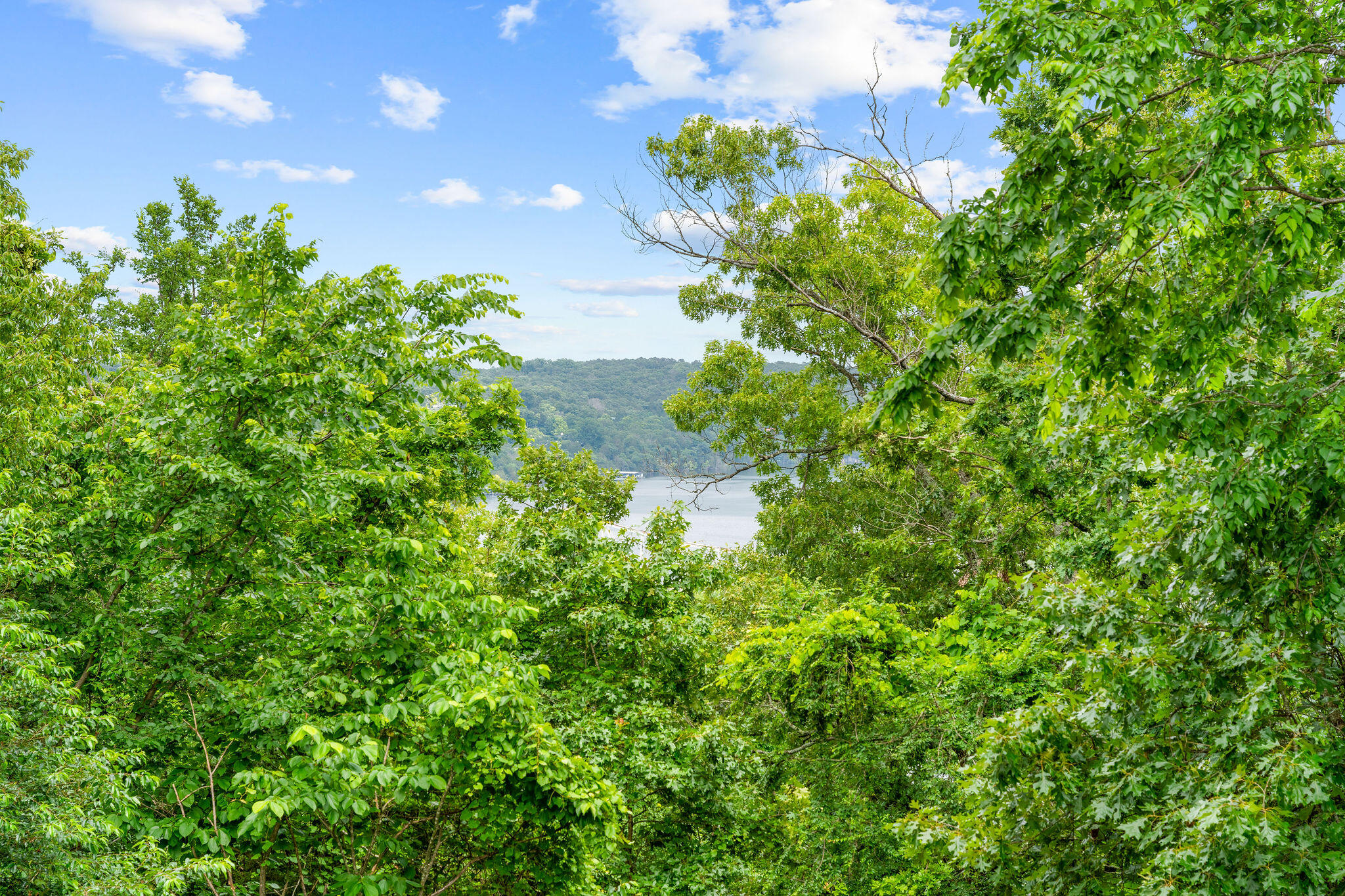 25158 Autumn View Drive Property Photo 40
