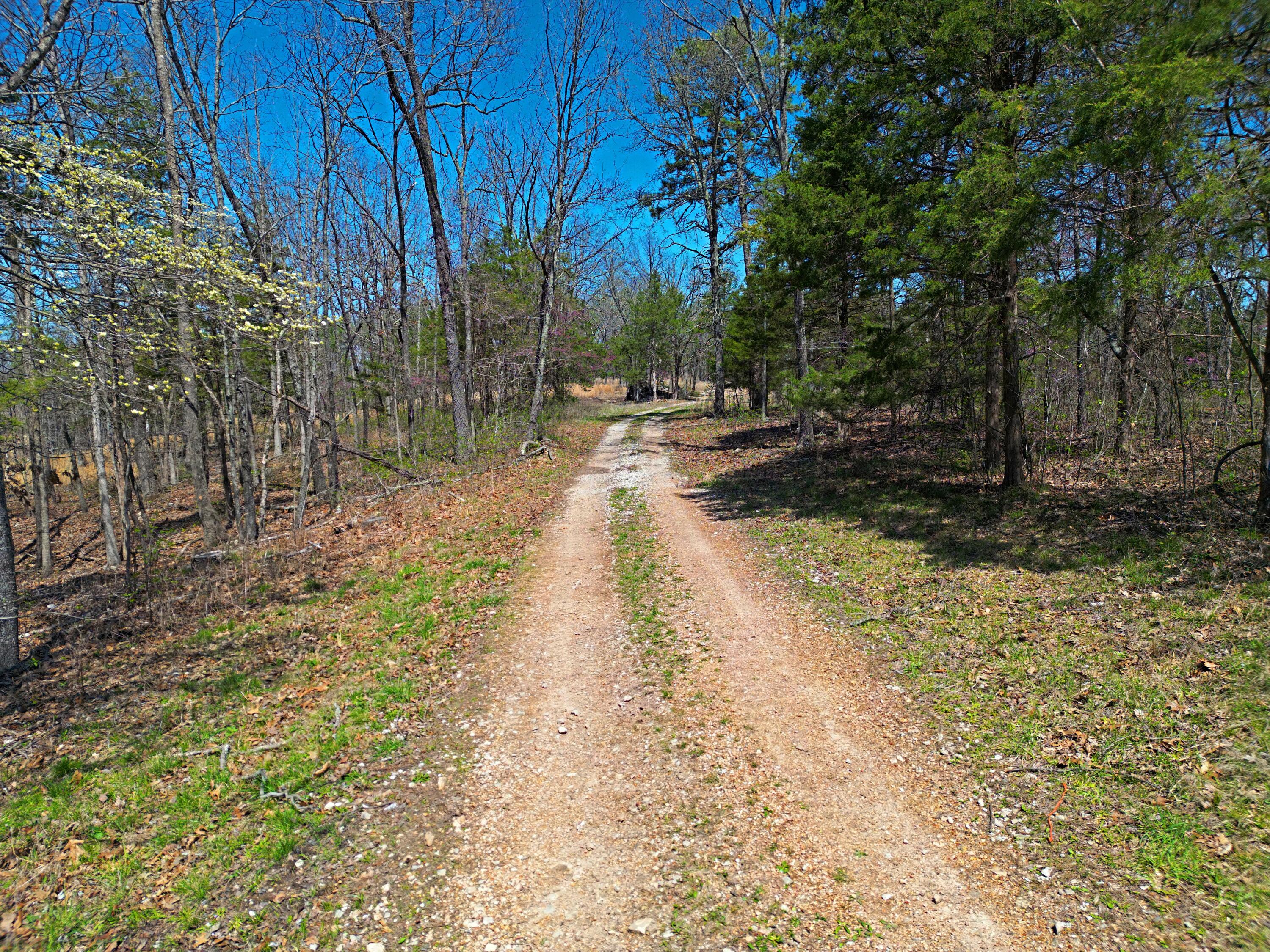 000 C-228 Tract #2 Property Photo 39