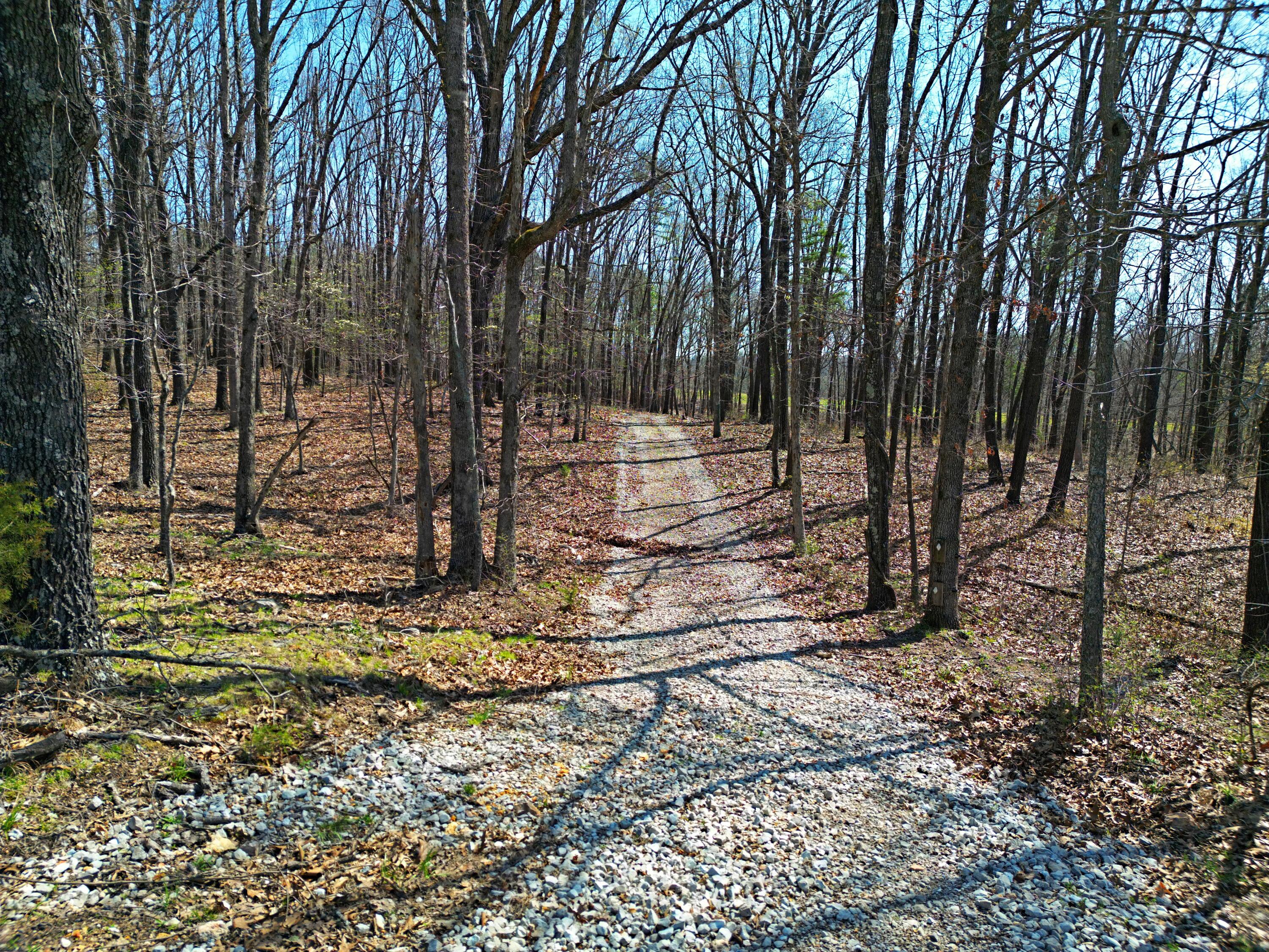 000 C-228 Tract #2 Property Photo 52