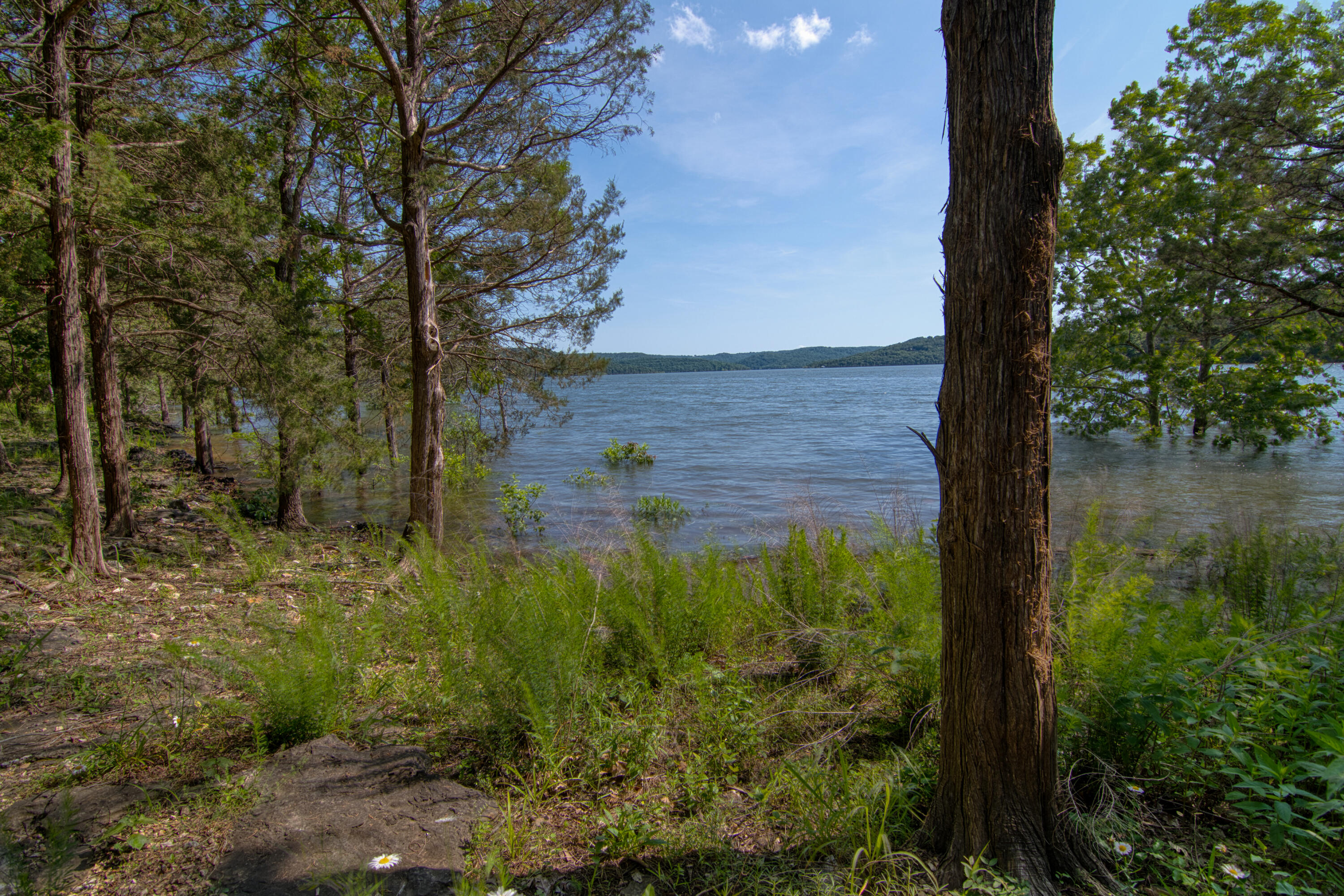 117 Hidden Shores Drive Property Photo 43