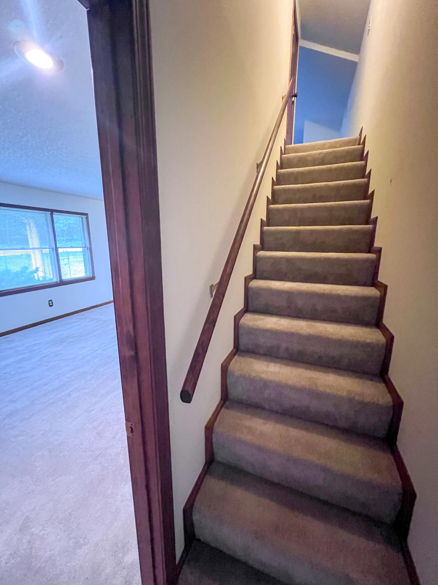 25668 County Road 245 Property Photo 55