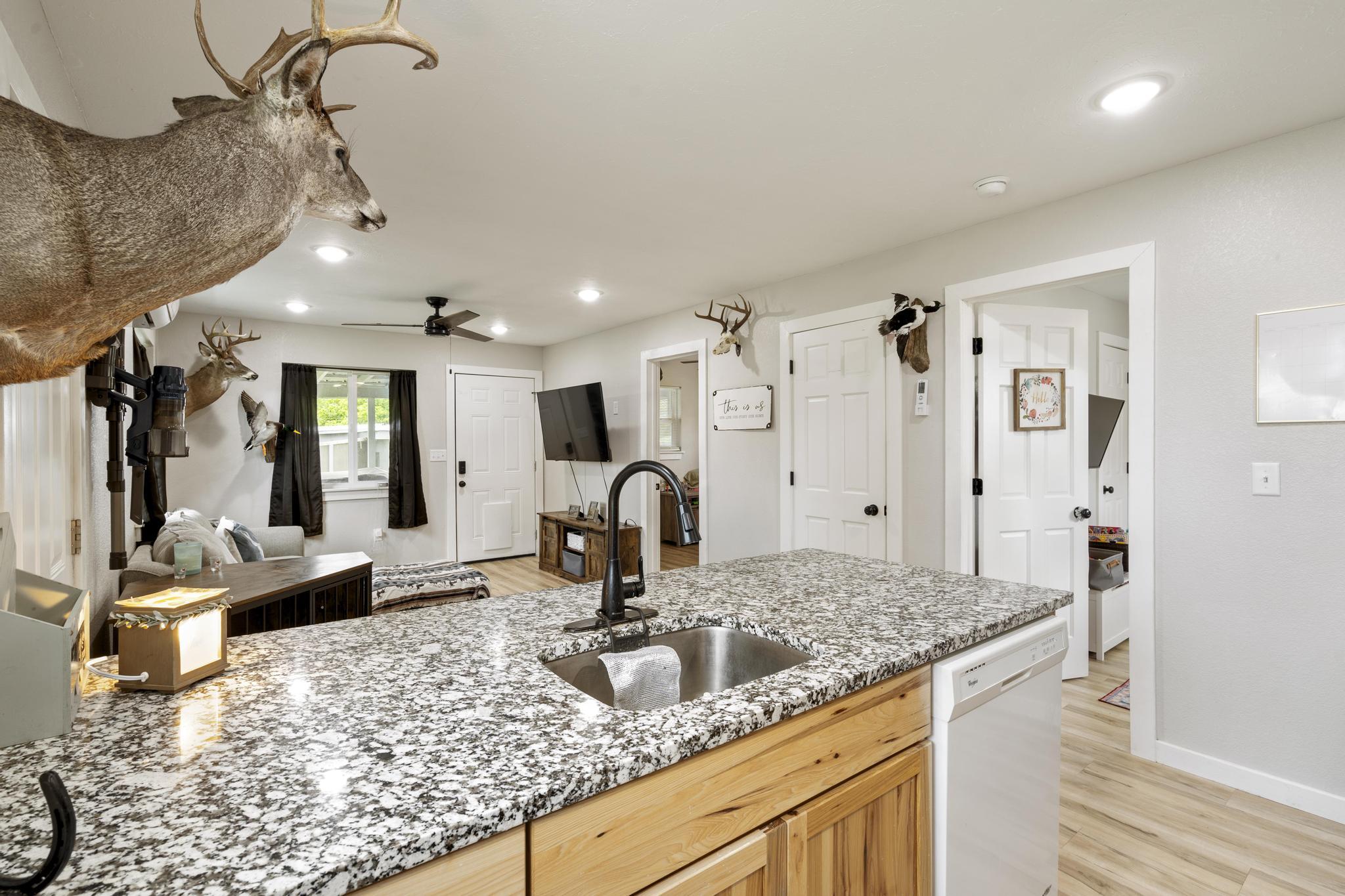 166 Seaman Street Property Photo 21