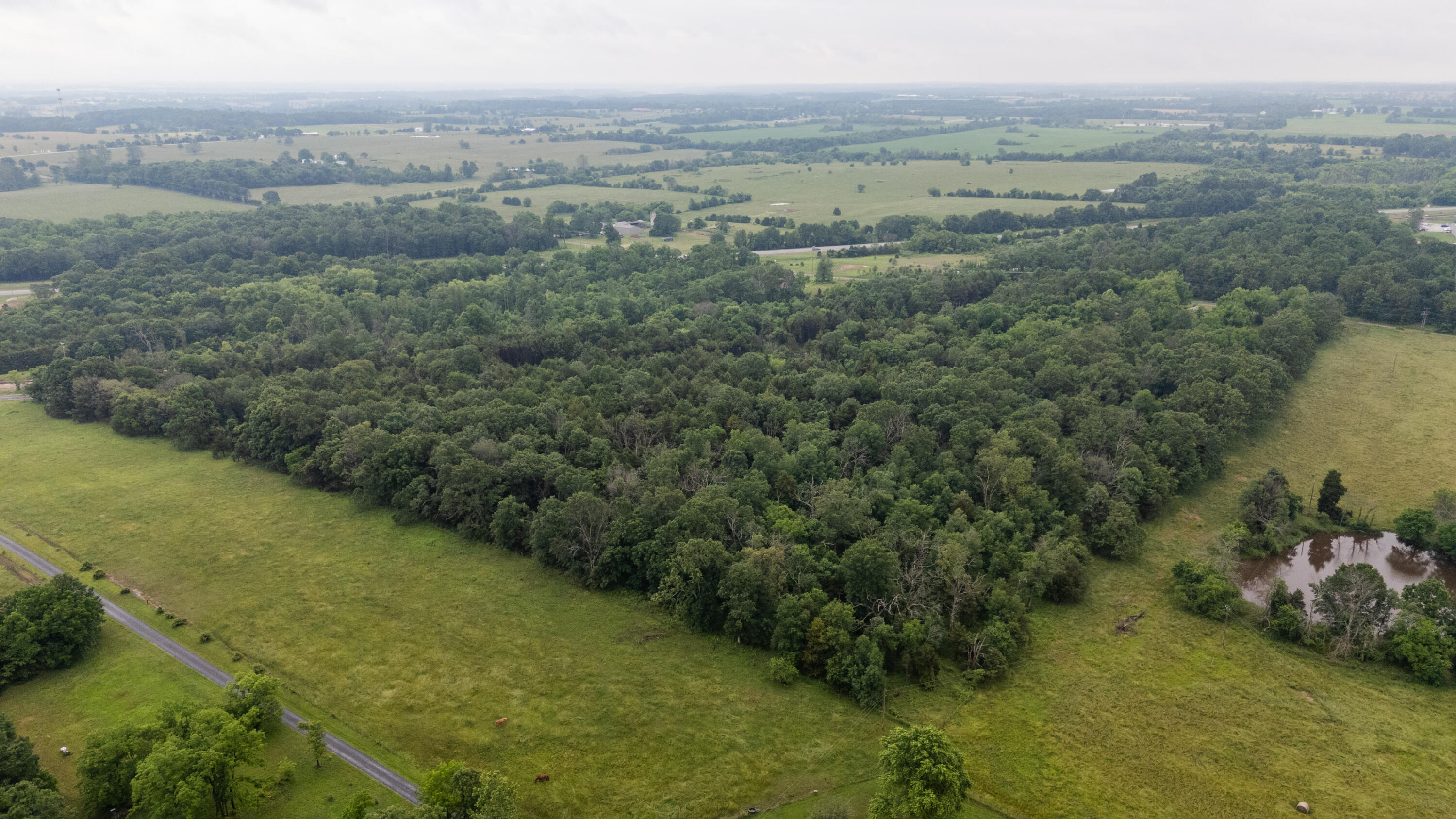 000 Vermule Road Property Photo 15