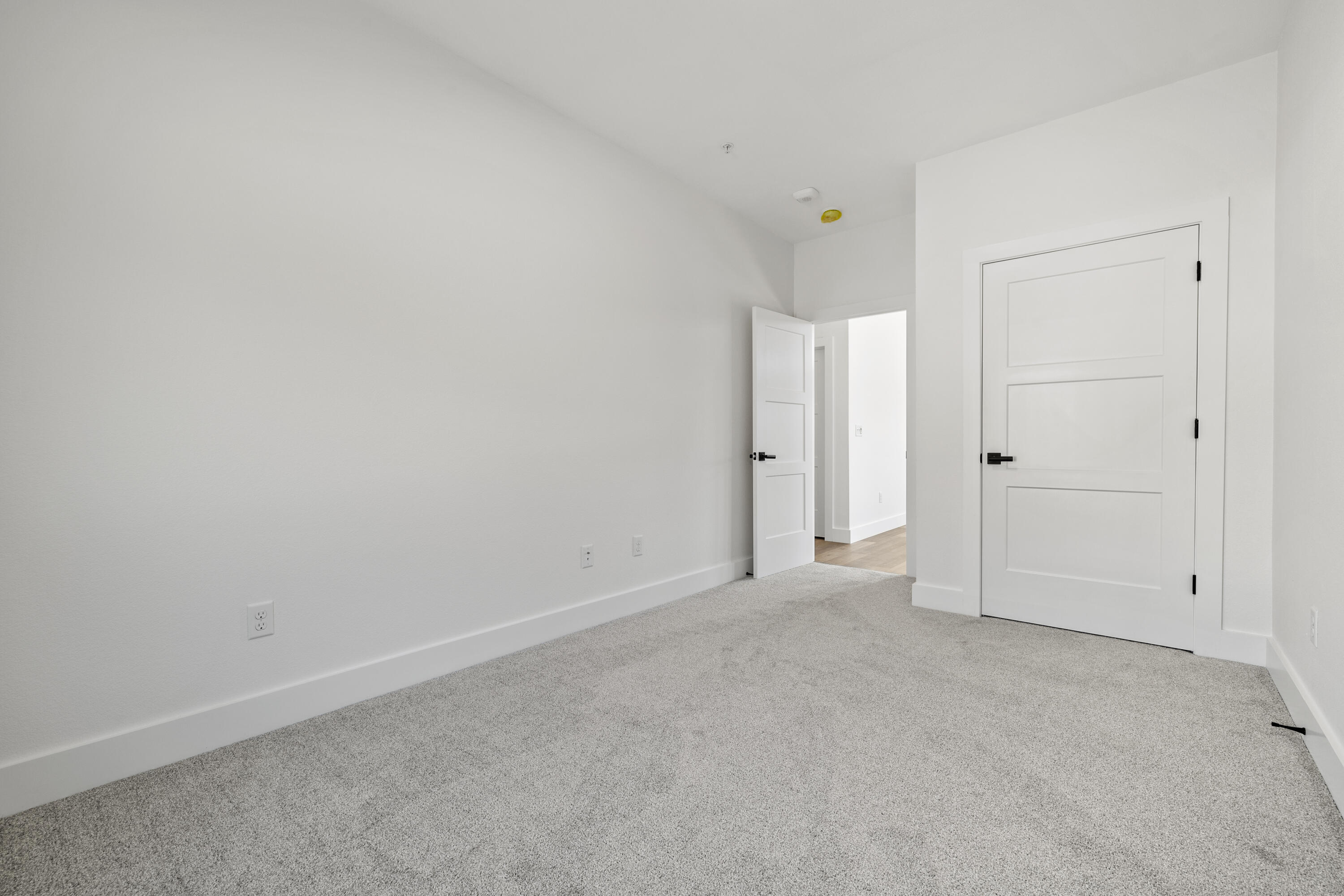 54 Cocobolo Drive Property Photo 21