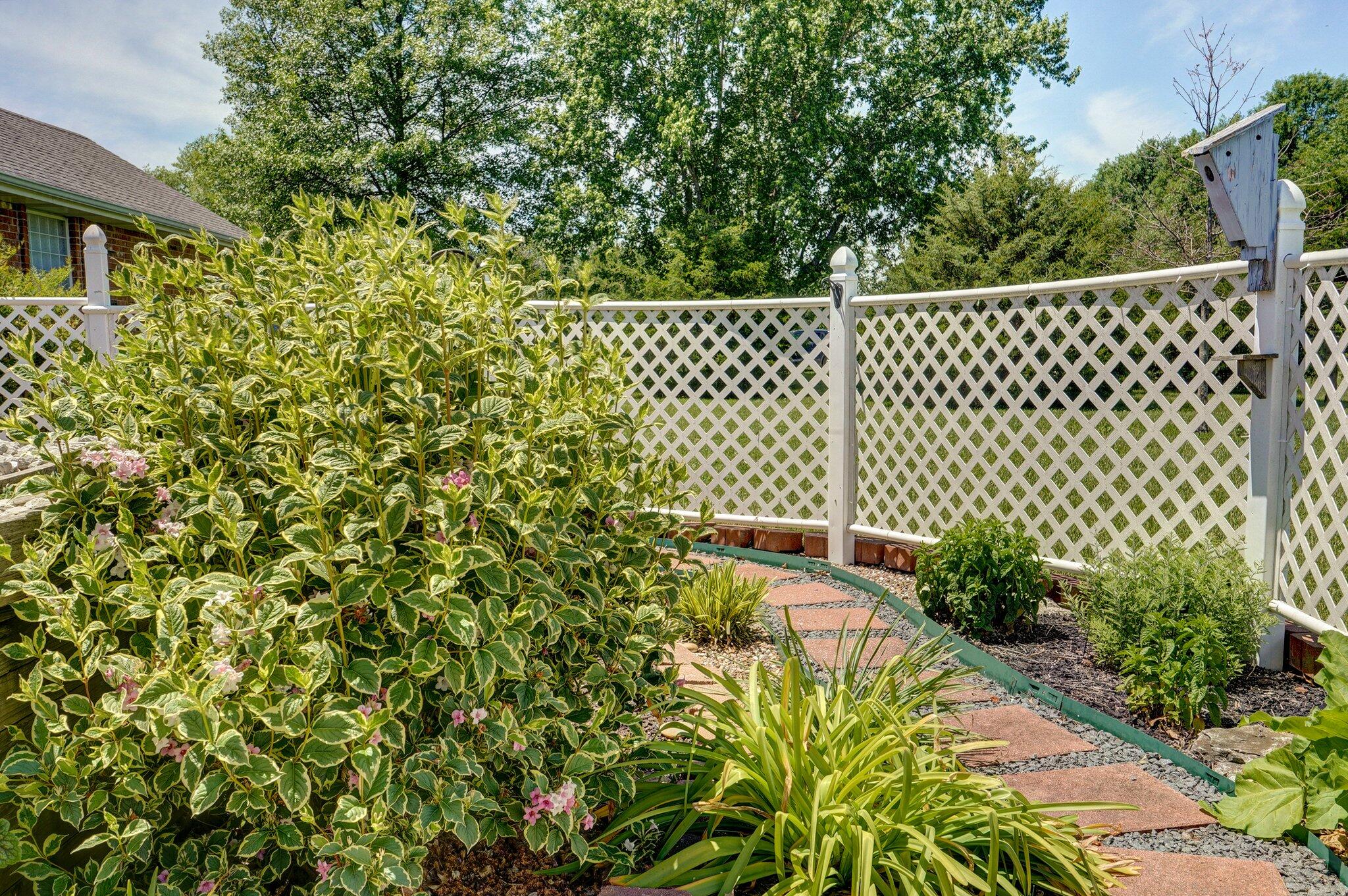 146 Dale Lane Property Photo 31