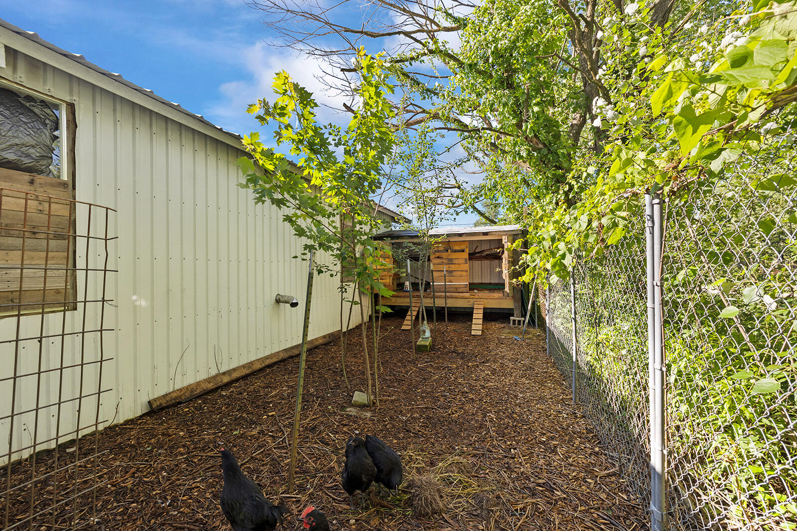 214 Rudolph Street Property Photo 12