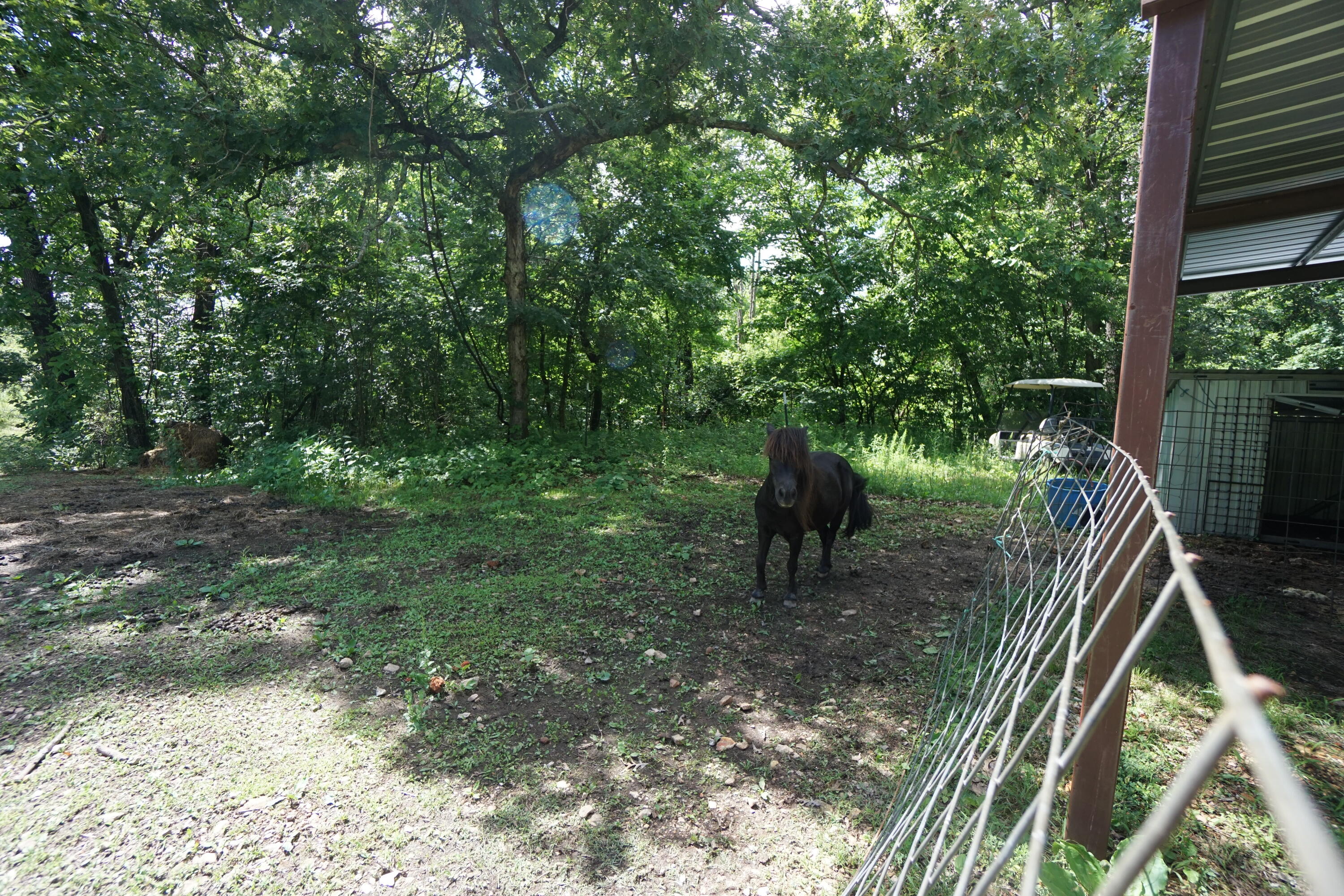 20770 State Highway 76 Property Photo 27