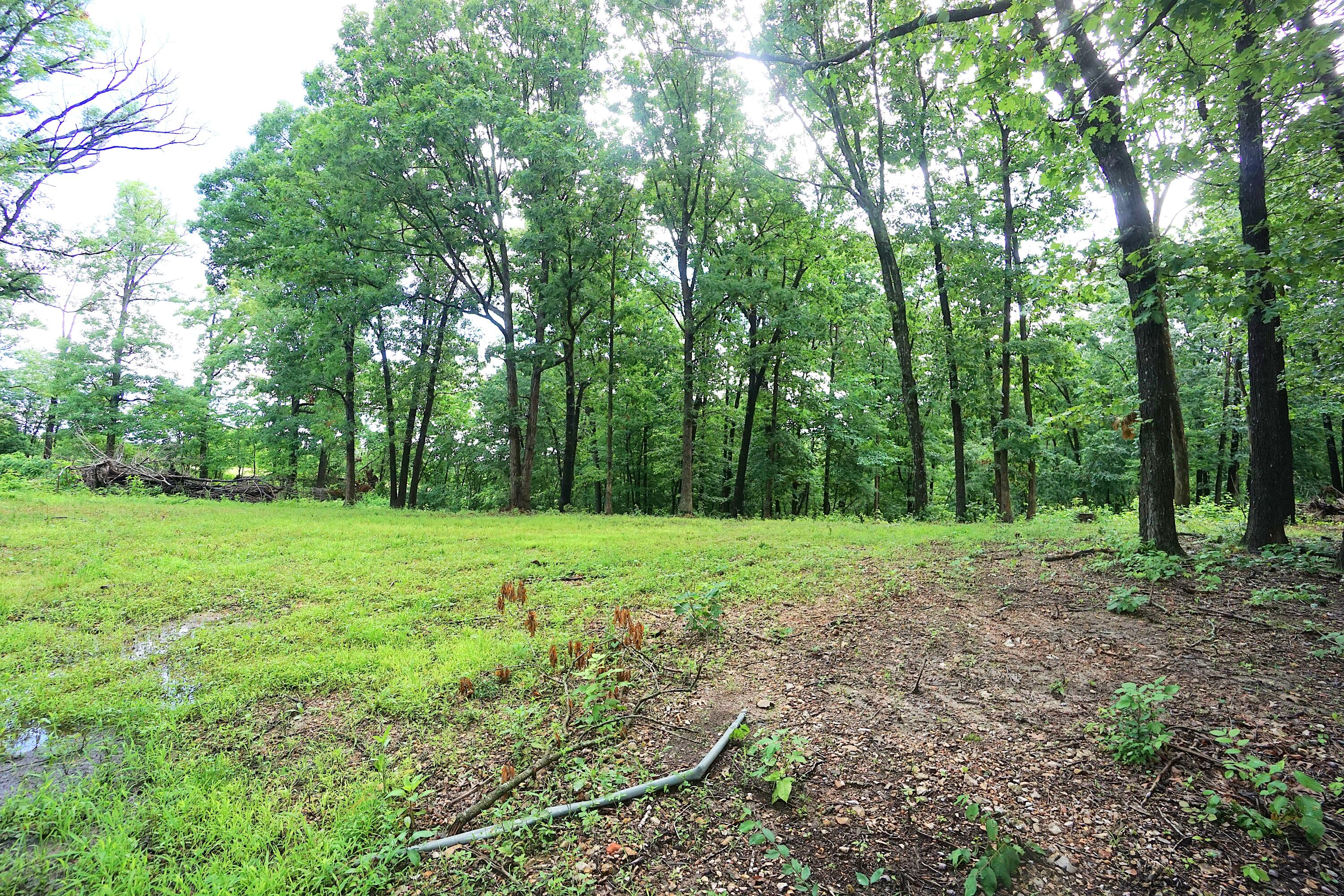 20770 State Highway 76 Property Photo 29