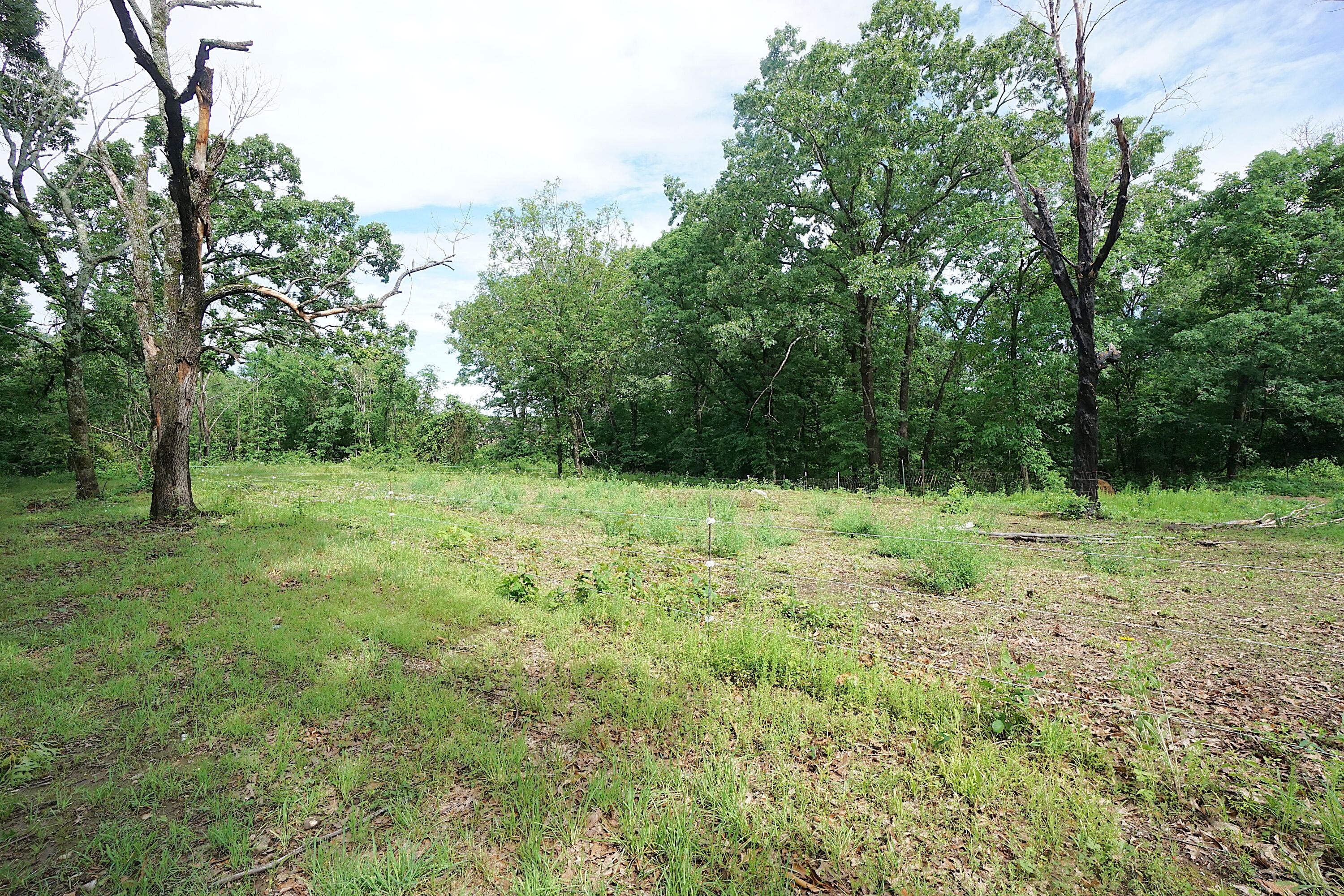20770 State Highway 76 Property Photo 32