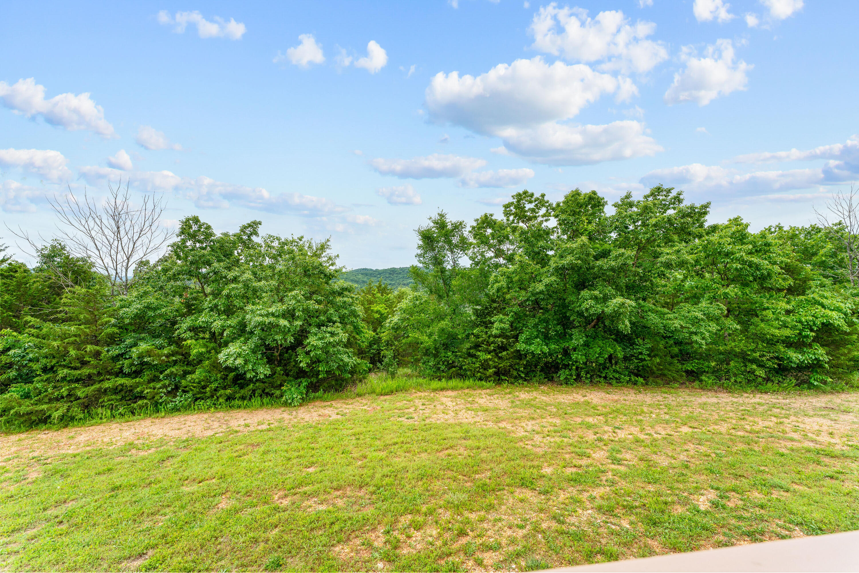 115 North Tuscany Drive Property Photo 33