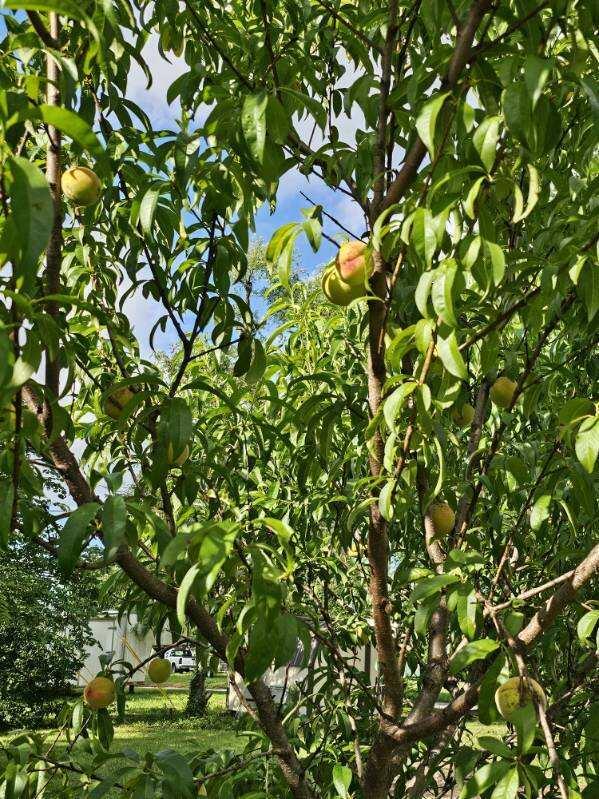 100 Sunset Heights Property Photo 20