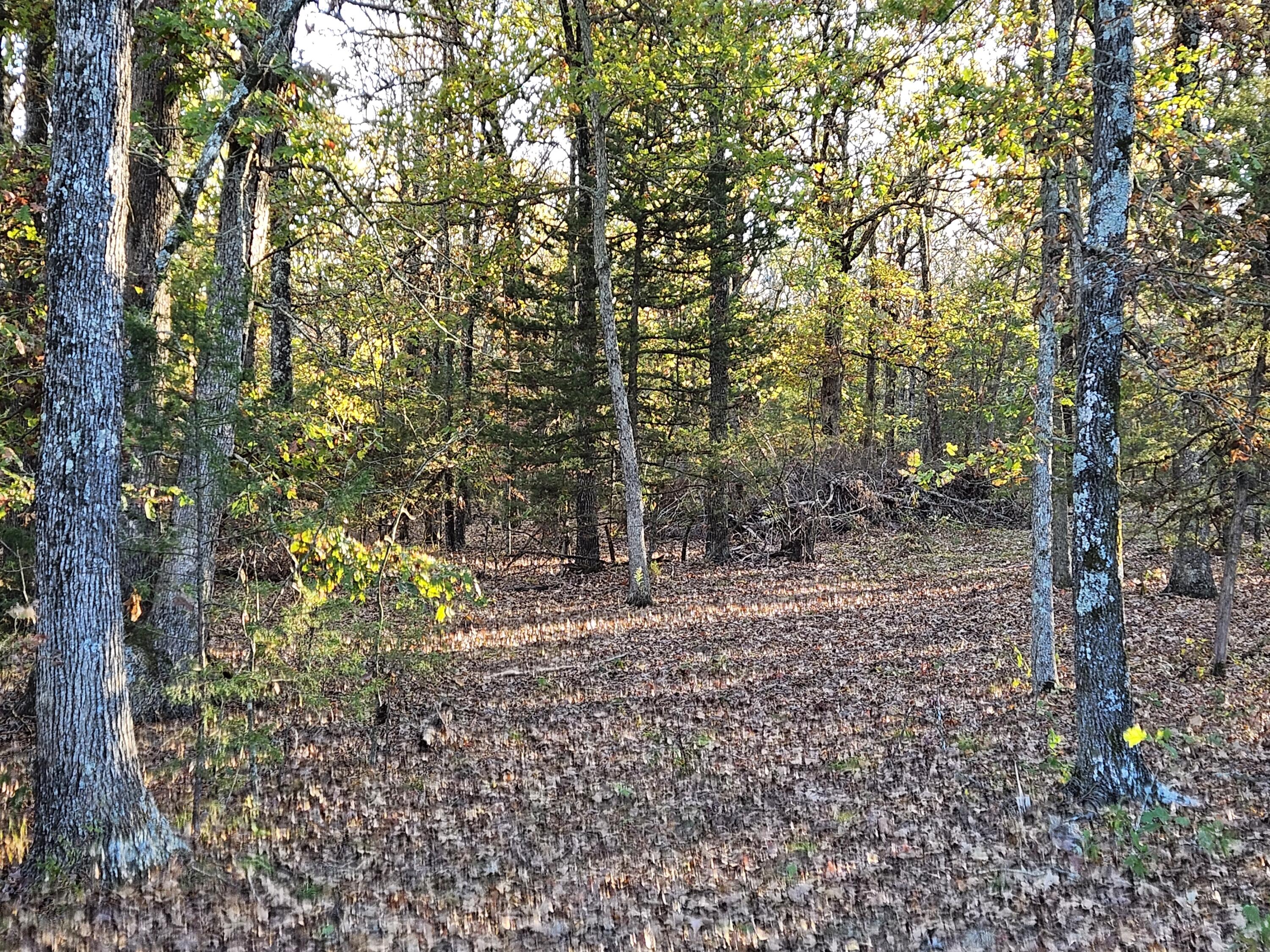 Tract 2 State Highway 174 Property Photo 1
