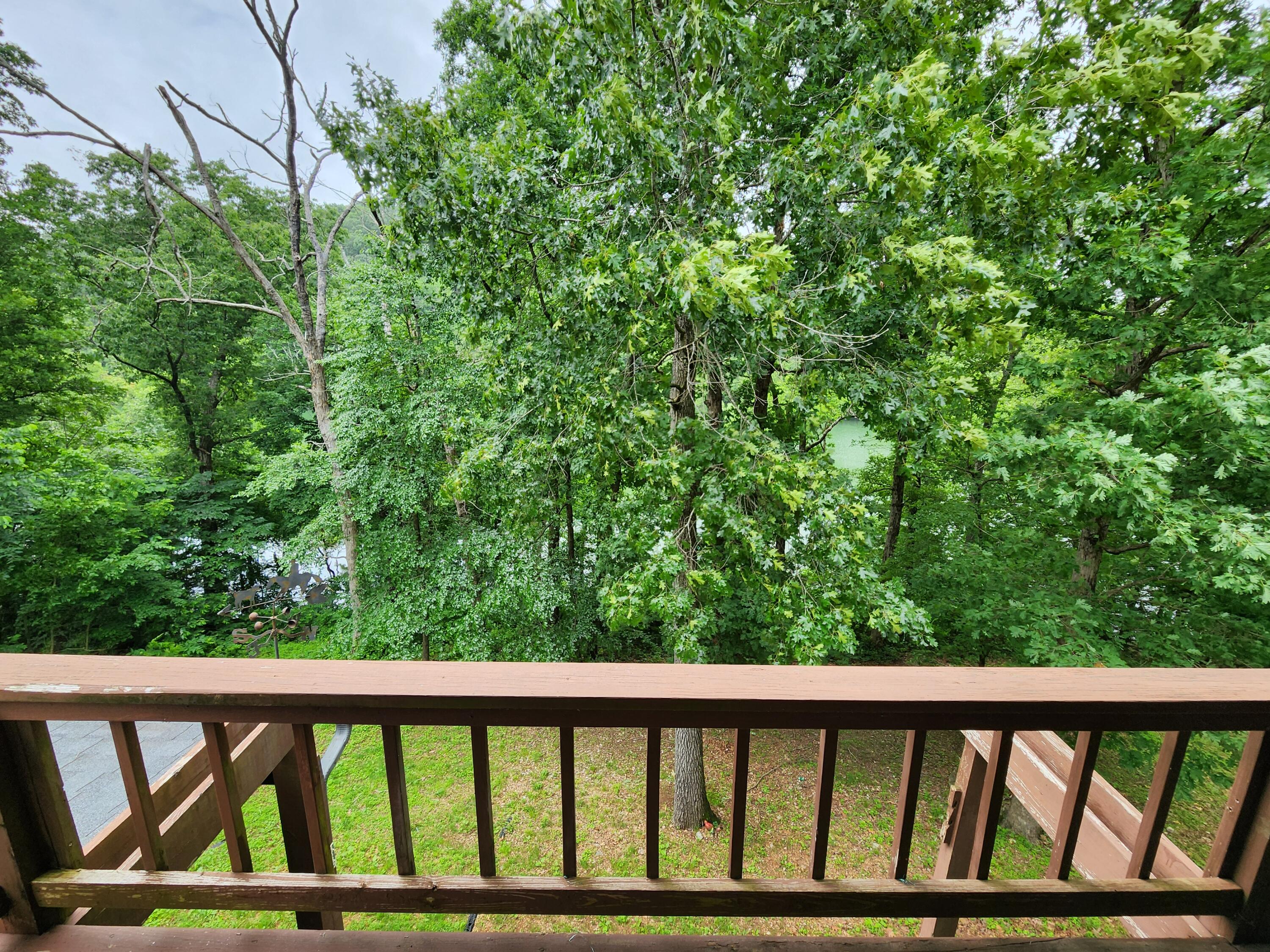 29039 Nottinghill Drive Property Photo 31