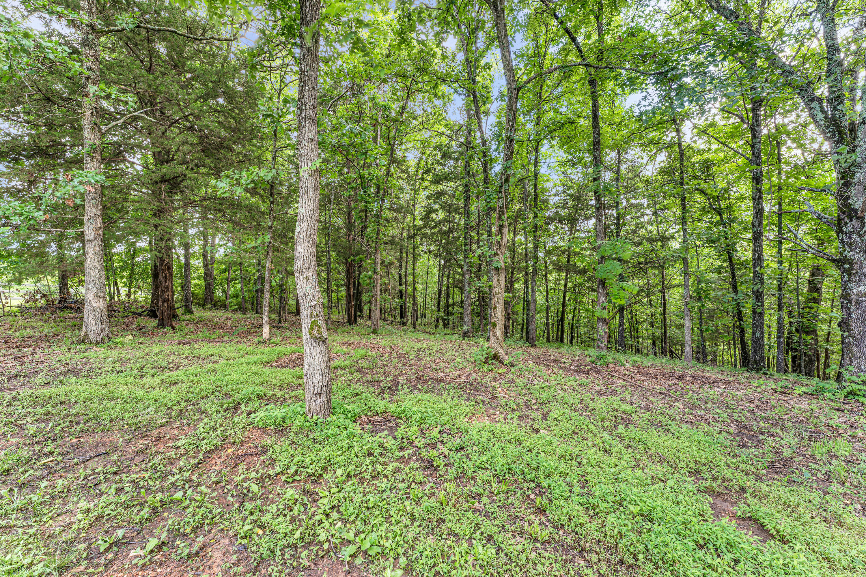 2029 Moon Valley Road Property Photo 53
