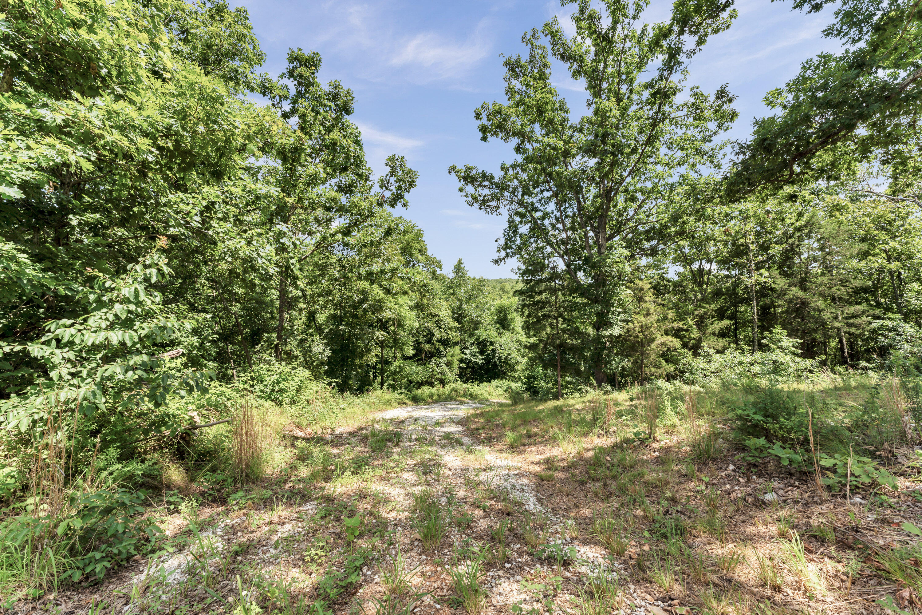 2029 Moon Valley Road Property Photo 67