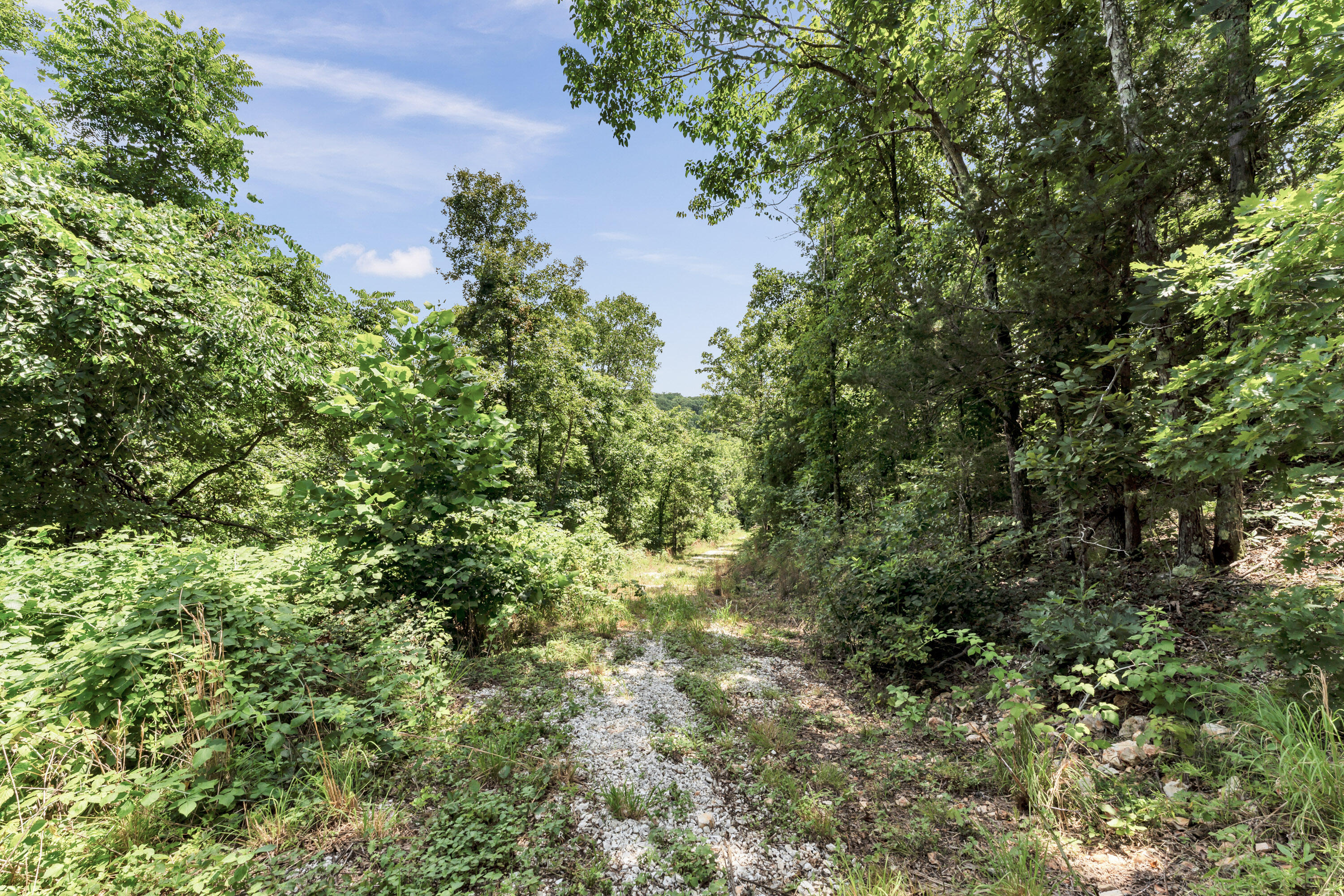 2029 Moon Valley Road Property Photo 68