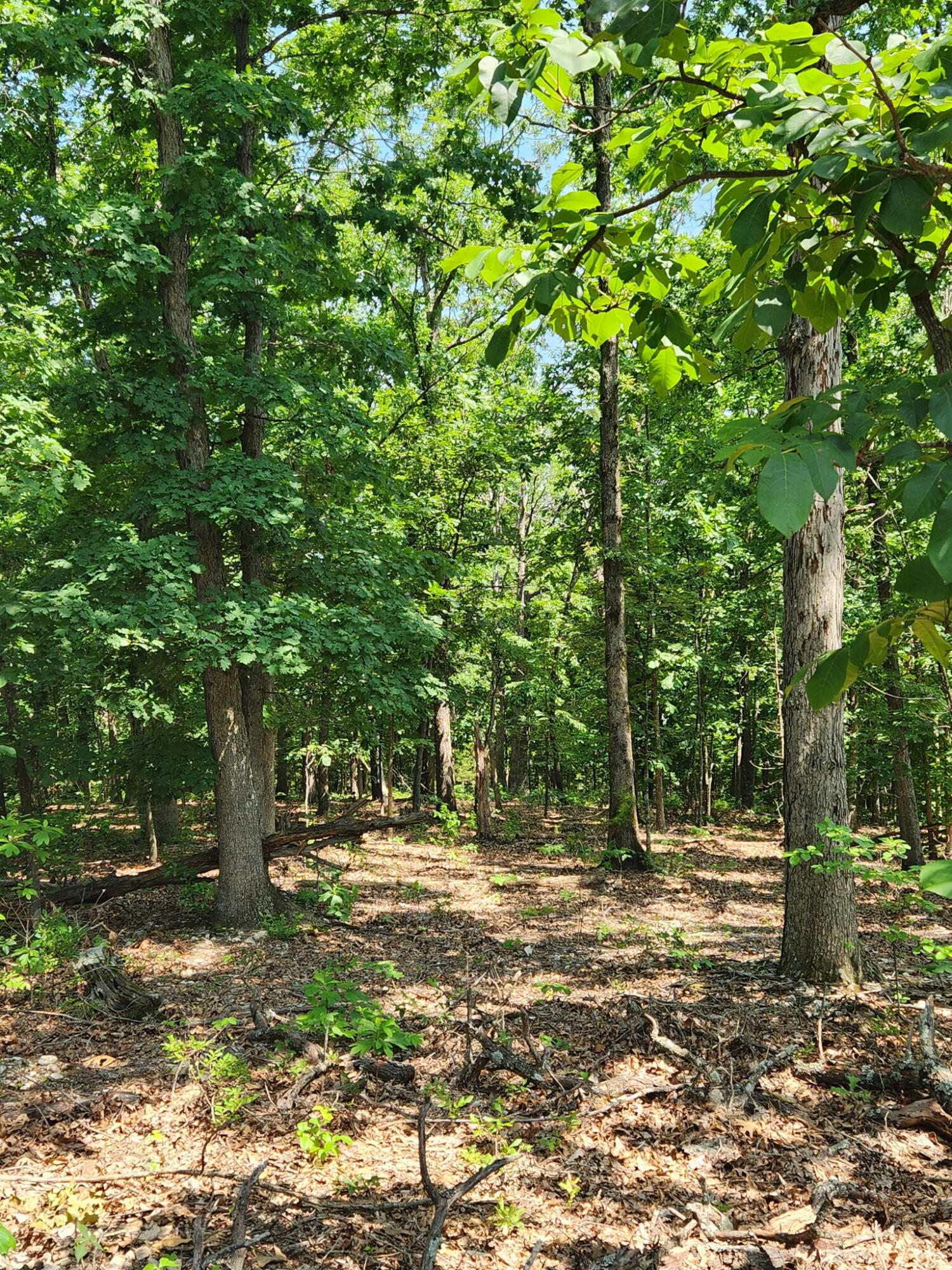 Lot 1 Oriole Lane Property Photo 1