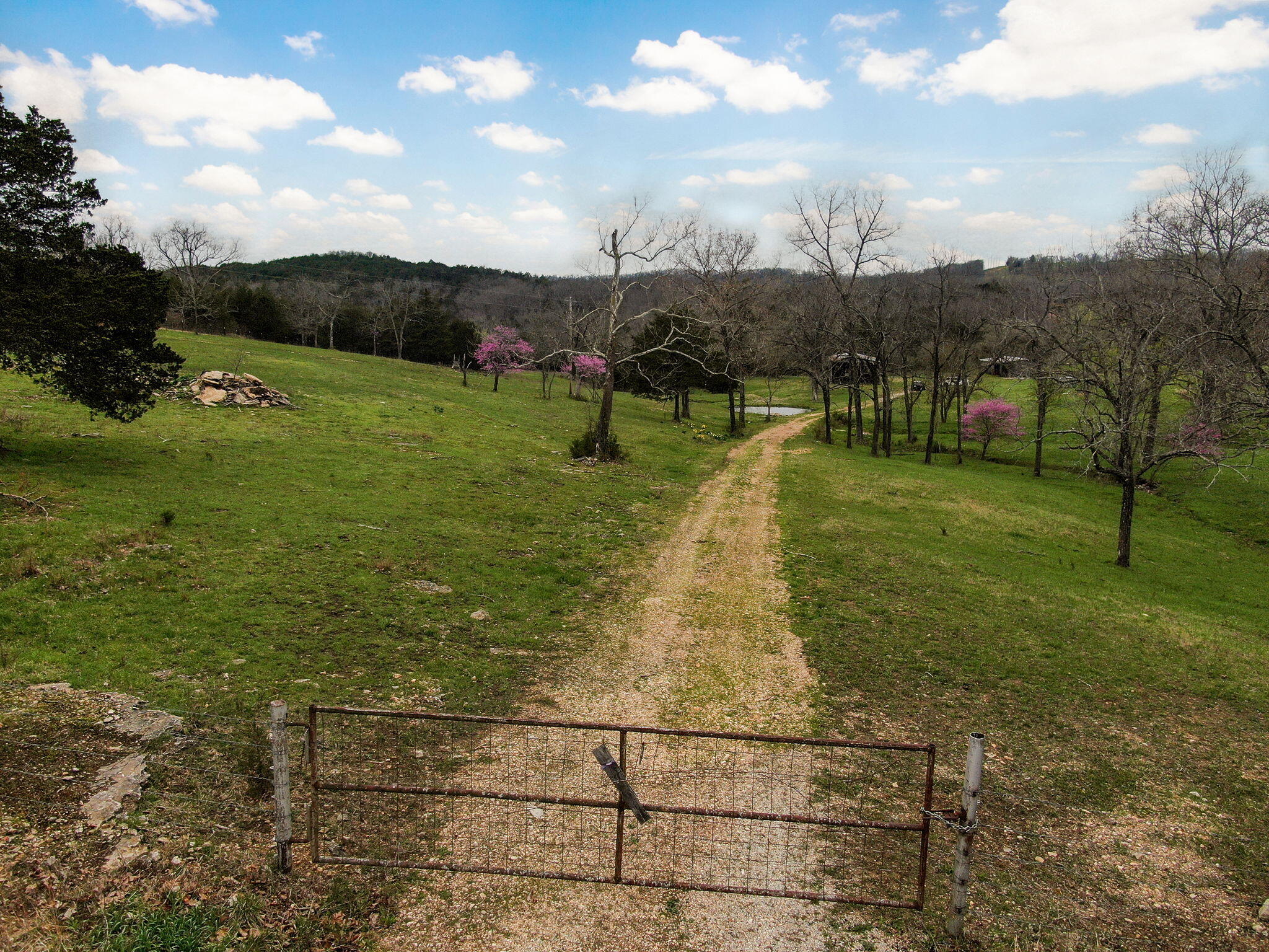 123 Fossil Cove Road Property Photo 29
