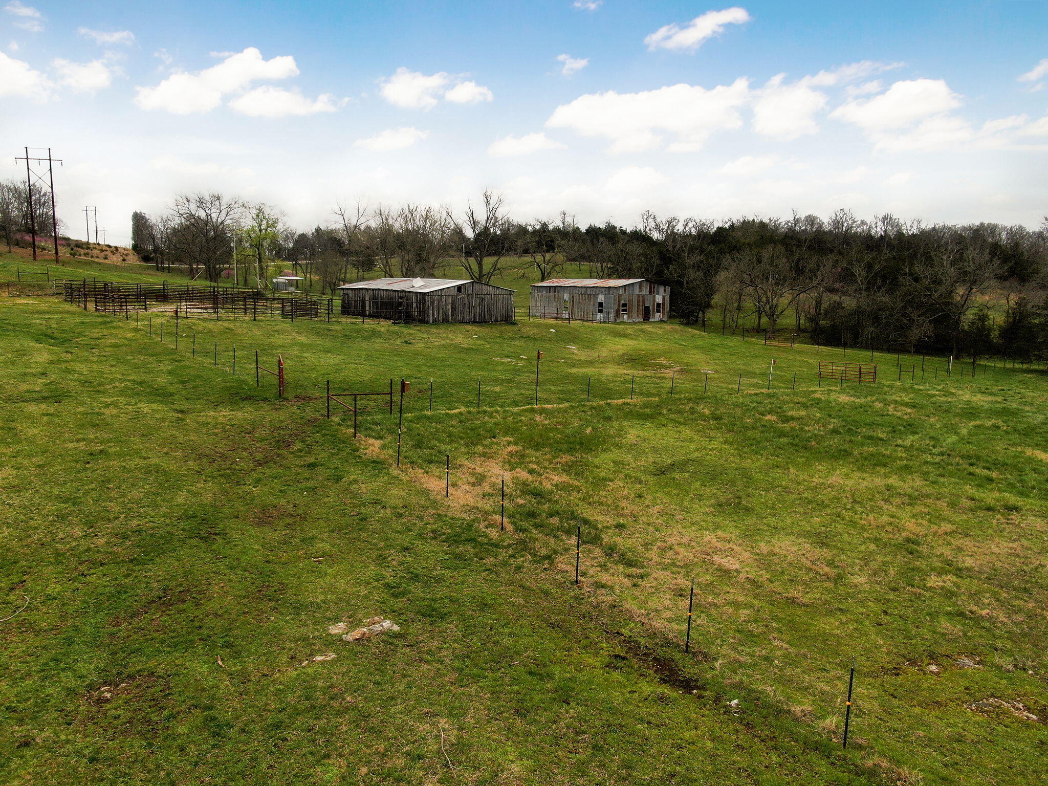 123 Fossil Cove Road Property Photo 49