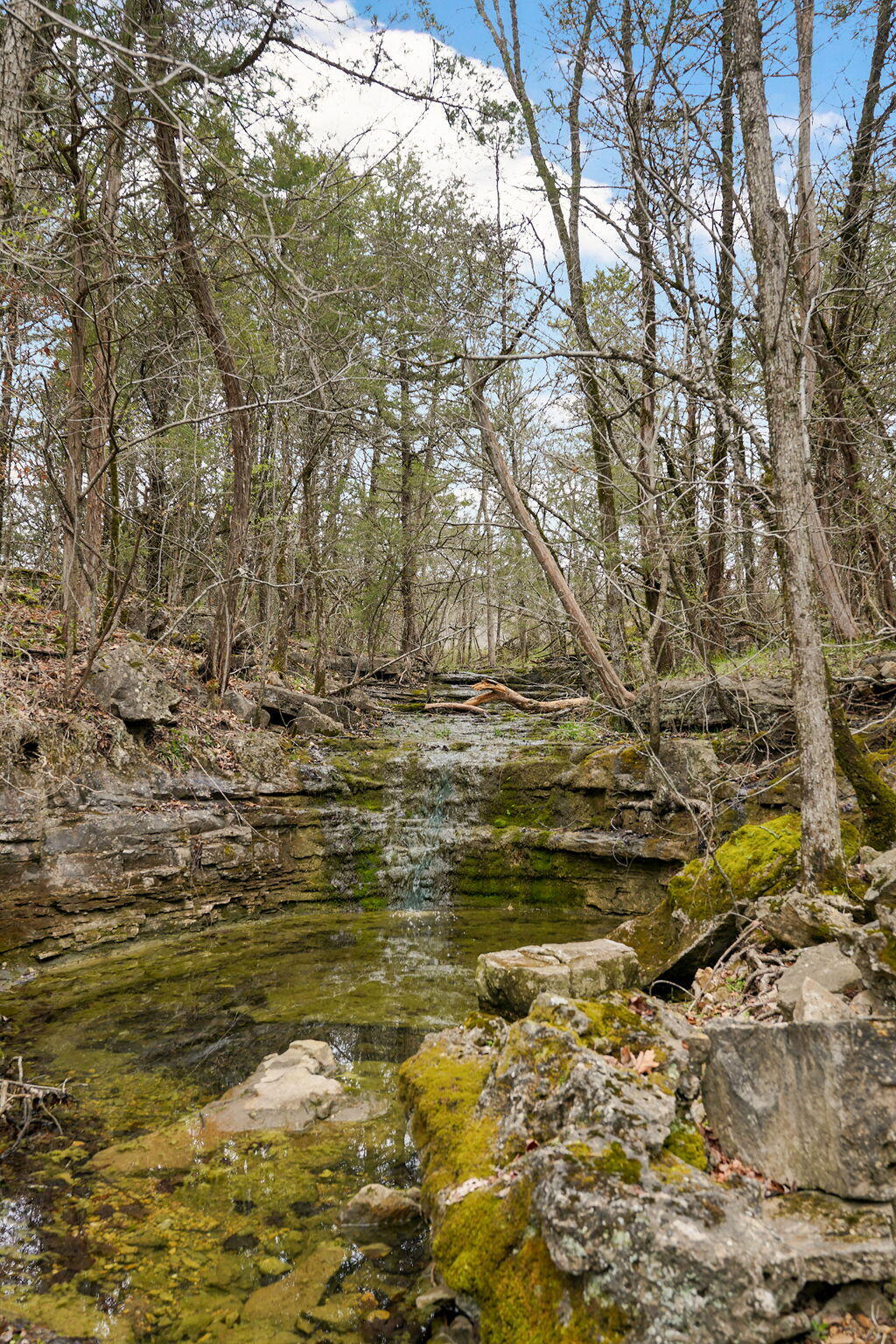 123 Fossil Cove Road Property Photo 59