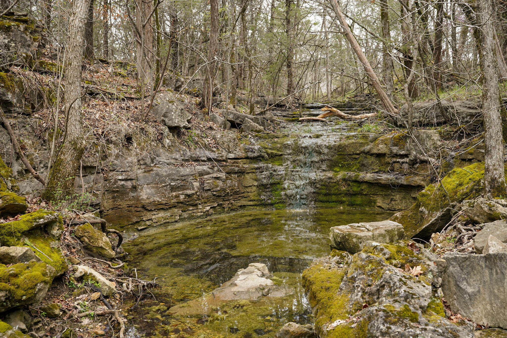 123 Fossil Cove Road Property Photo 60
