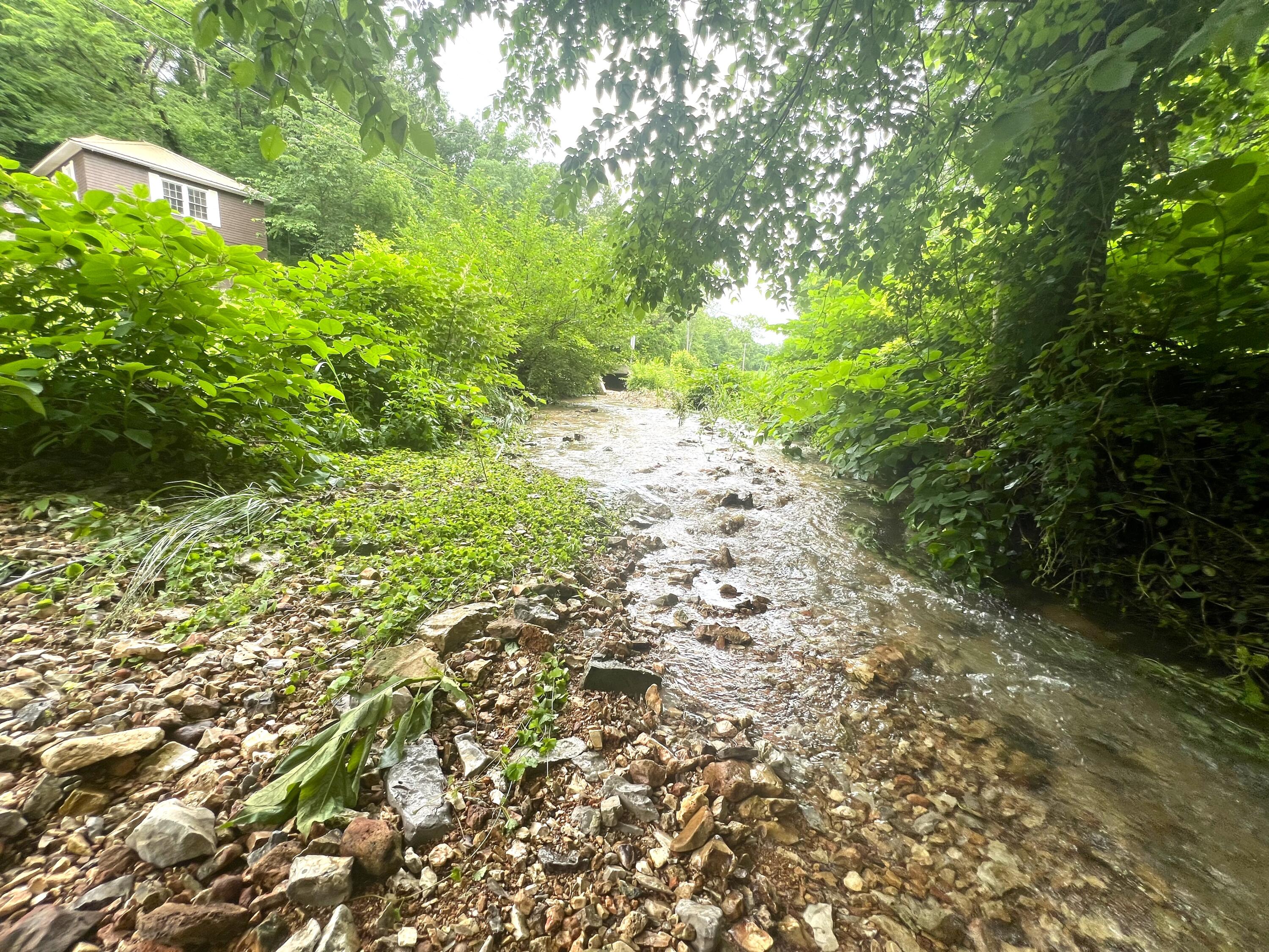 321 Highway F Property Photo 4
