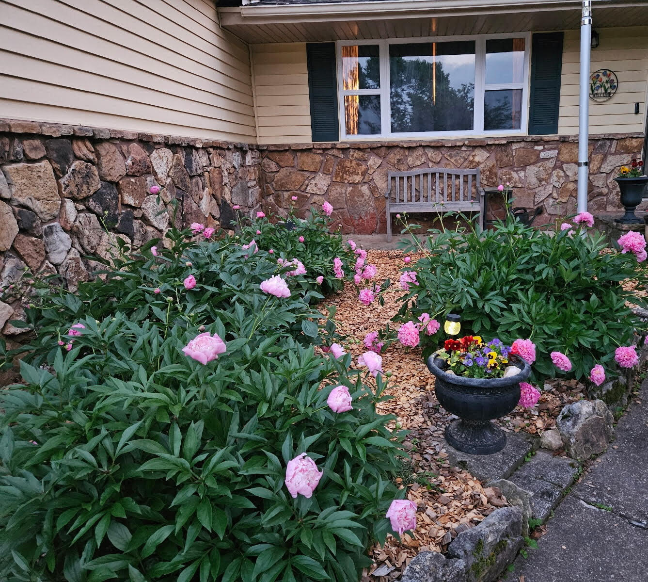 225 Elim Street Property Photo 3