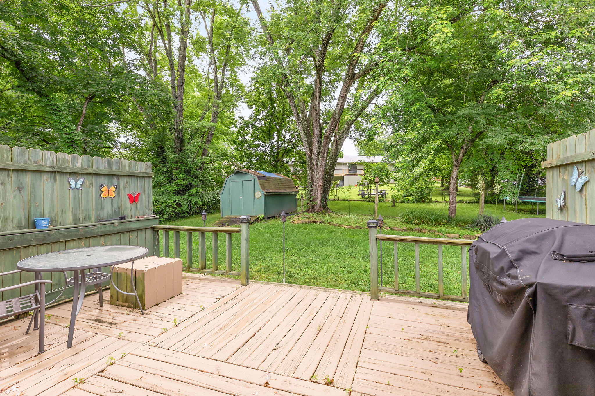 225 Elim Street Property Photo 17