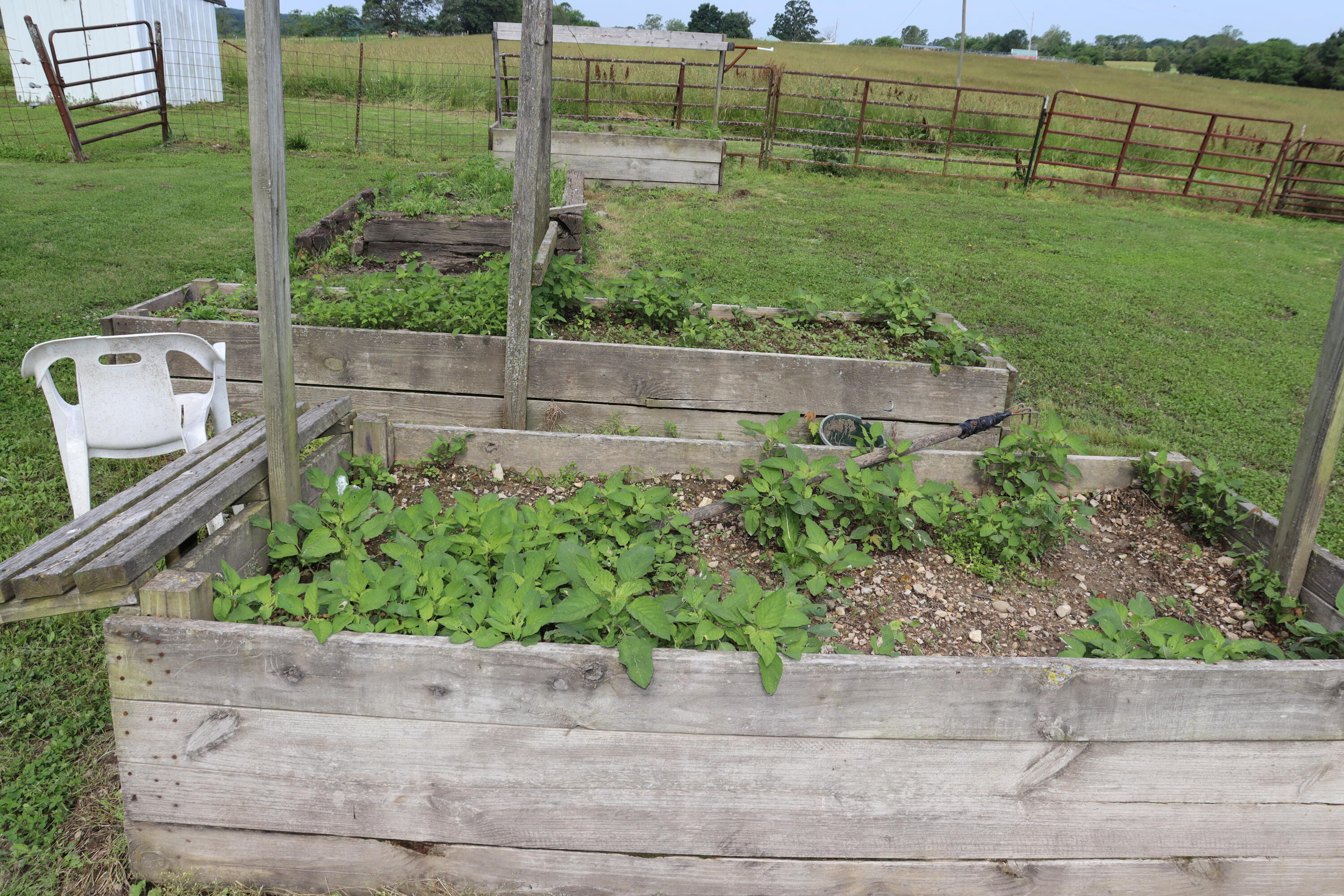 4317 P Road Property Photo 32