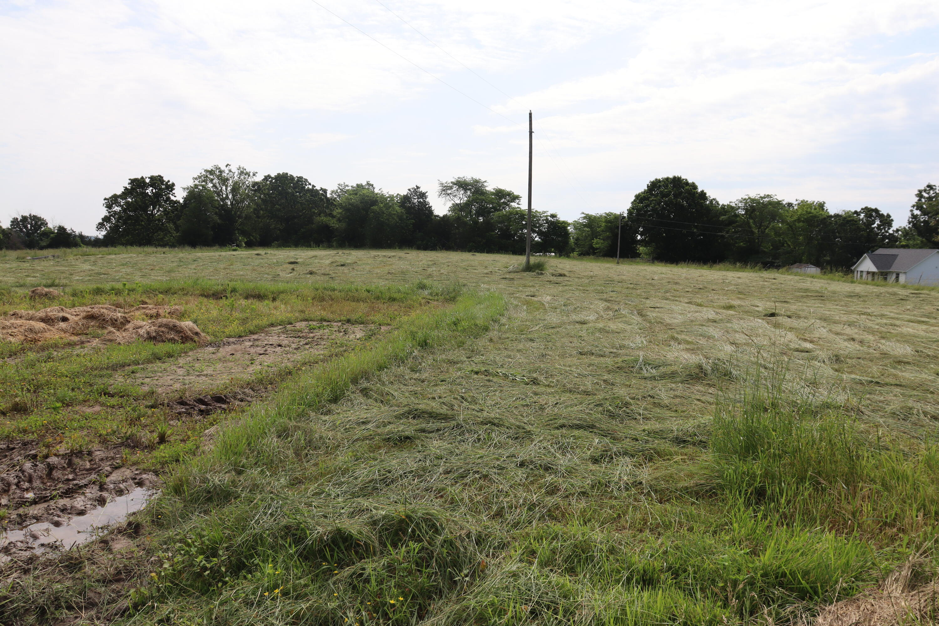 4317 P Road Property Photo 39